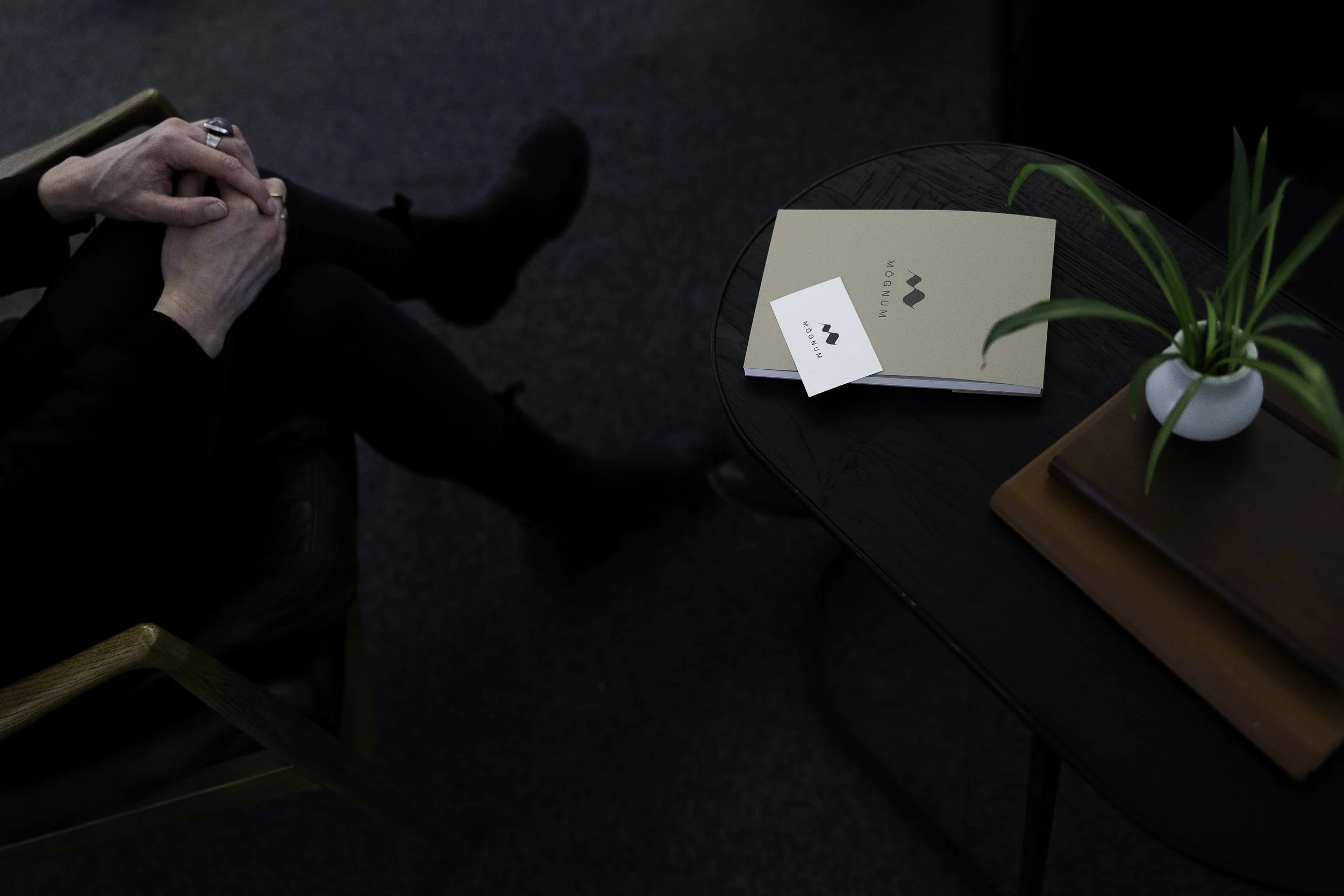 Mynd af borði þar sem bækur eru með lógó Mögnum