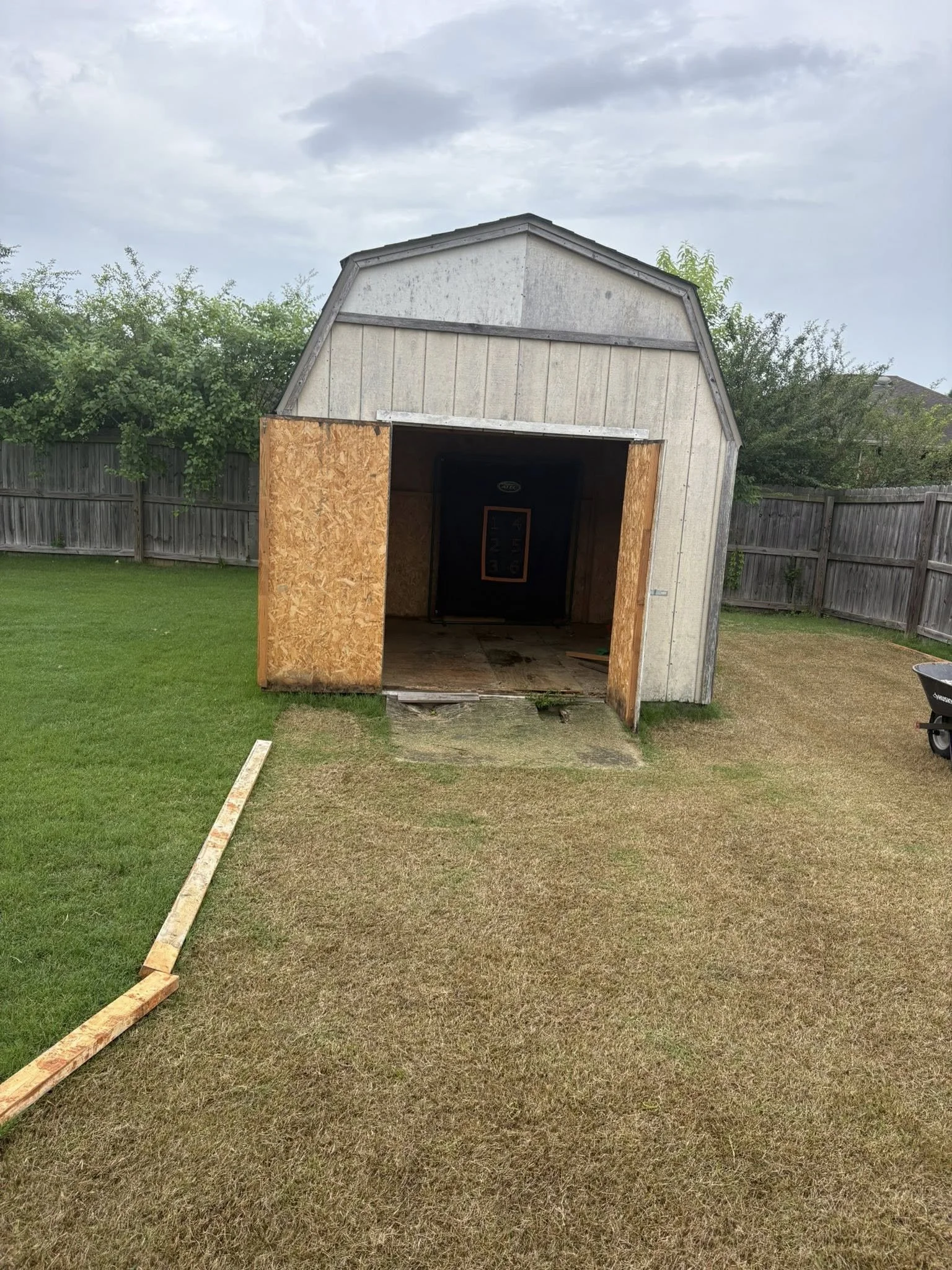 The image shows the front of a small shed being built in a backyard, with the doors open. The shed has a white exterior with some weathering, a dark roof, and plywood on the open doors. There is a grass lawn in the foreground, and a wooden fence and 