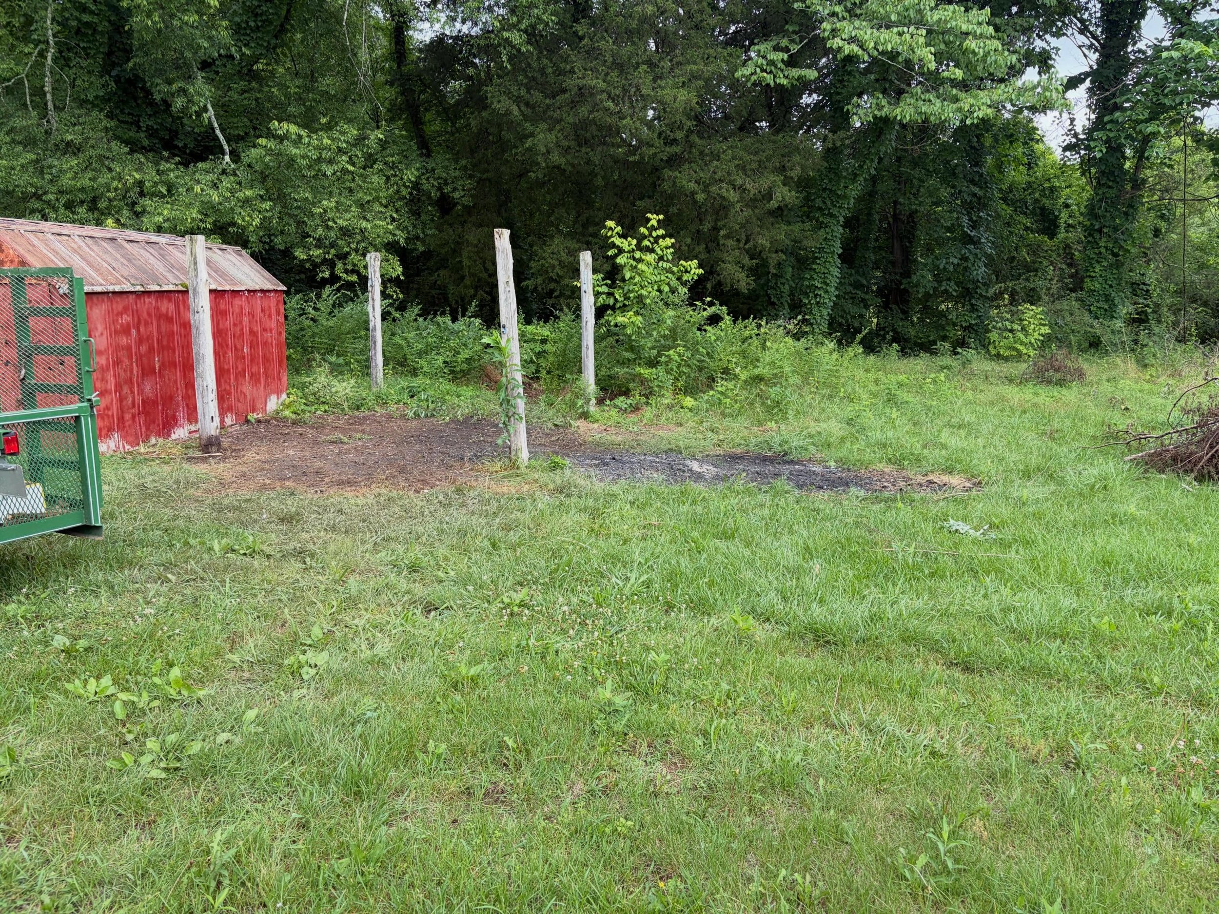 A red storage shed with a rusted roof next to a green gate, surrounded by a grassy yard and a wooded area with trees in the background.