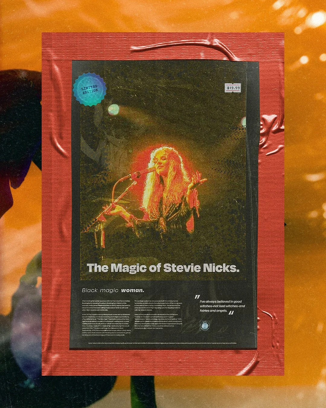 stevie nicks.jpg