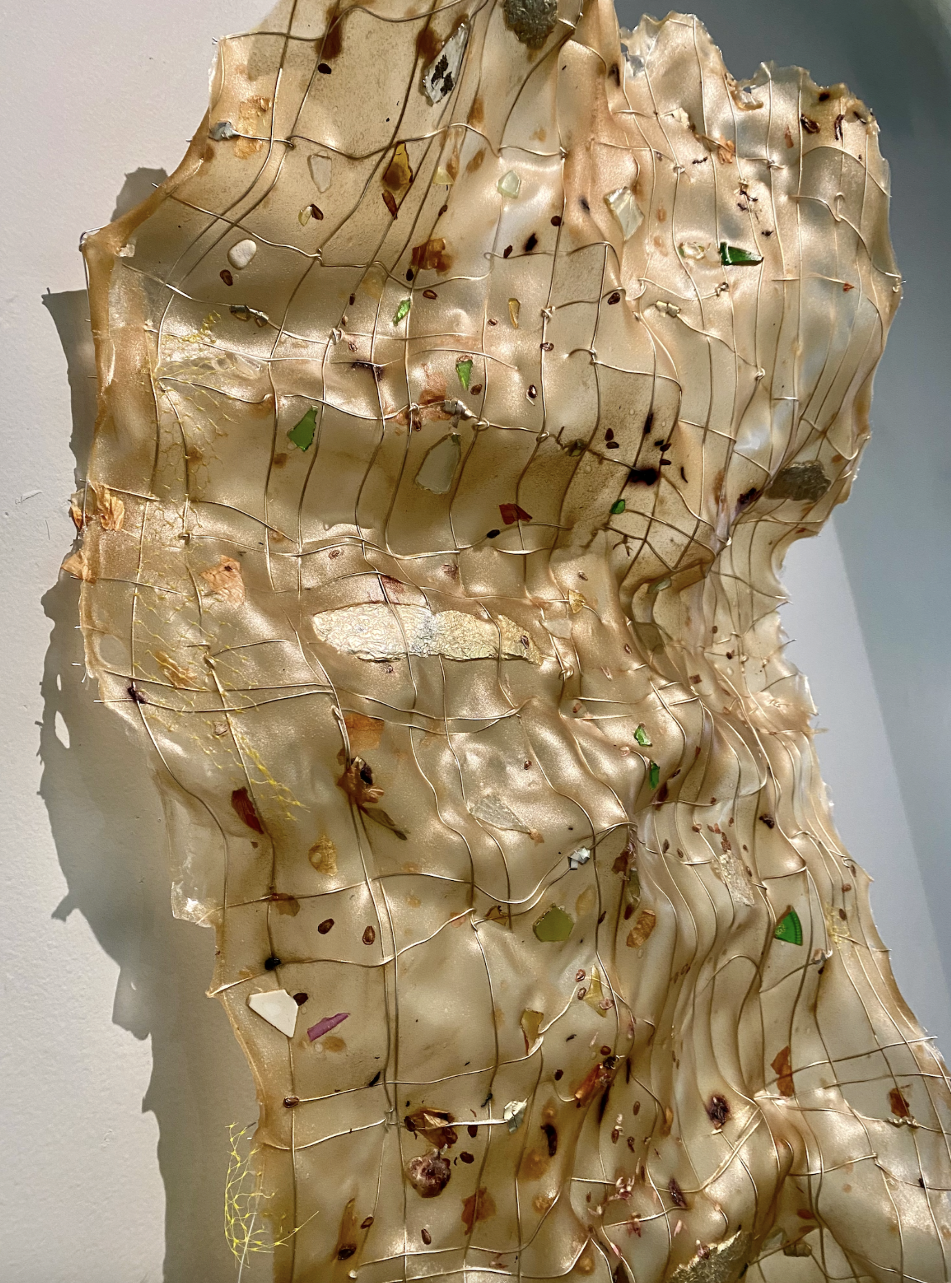 Screenshot 2026-01-21 at 12.44.33 PM.png