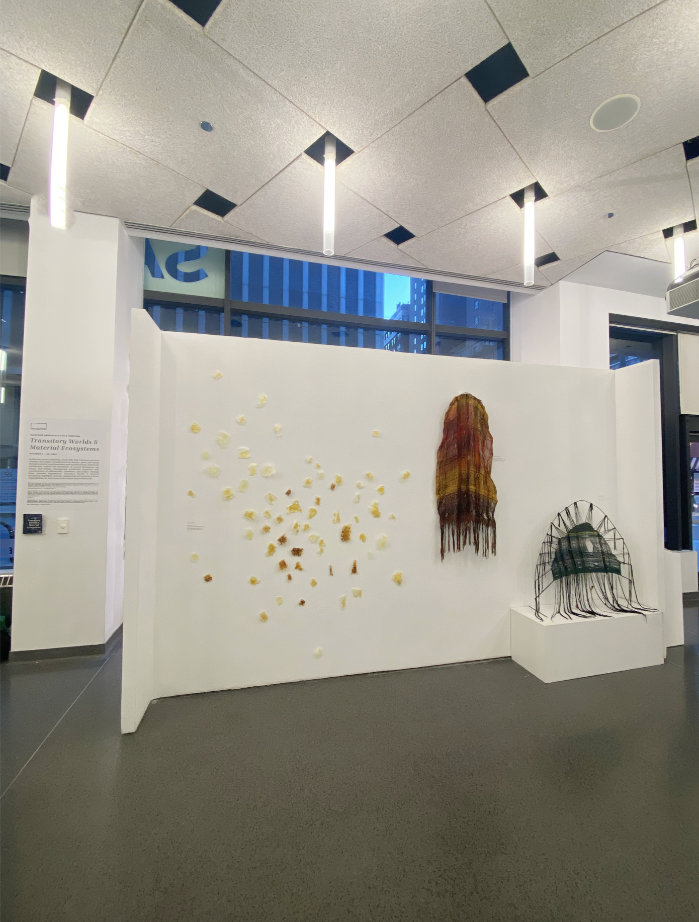 Screenshot 2026-01-21 at 12.44.05 PM.png