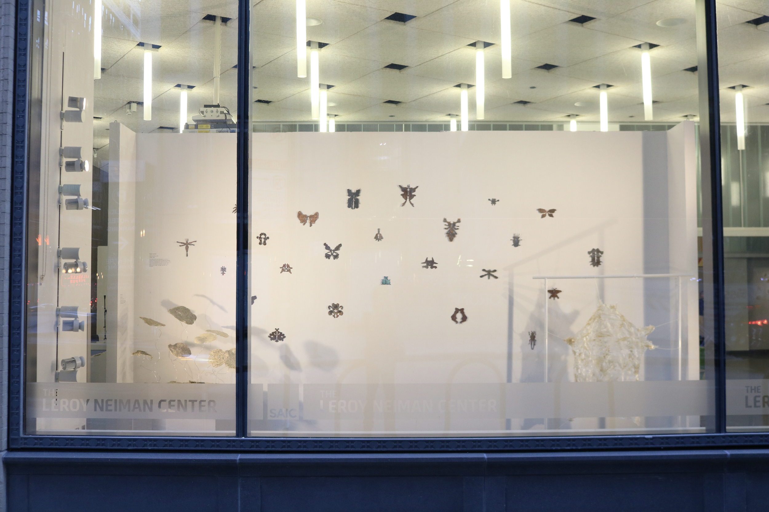 Screenshot 2026-01-21 at 12.44.09 PM.png