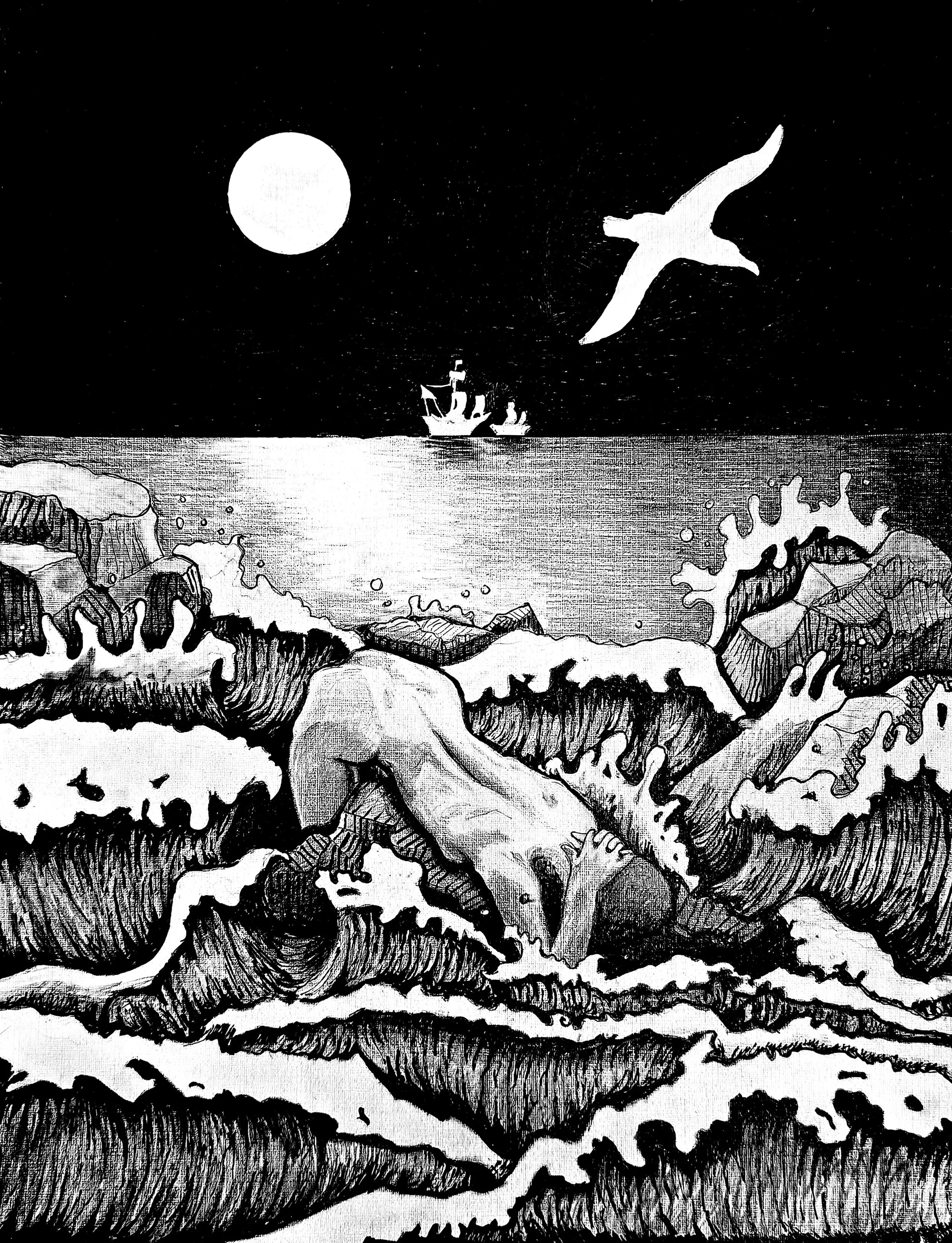 sirenandthealbatross.jpg