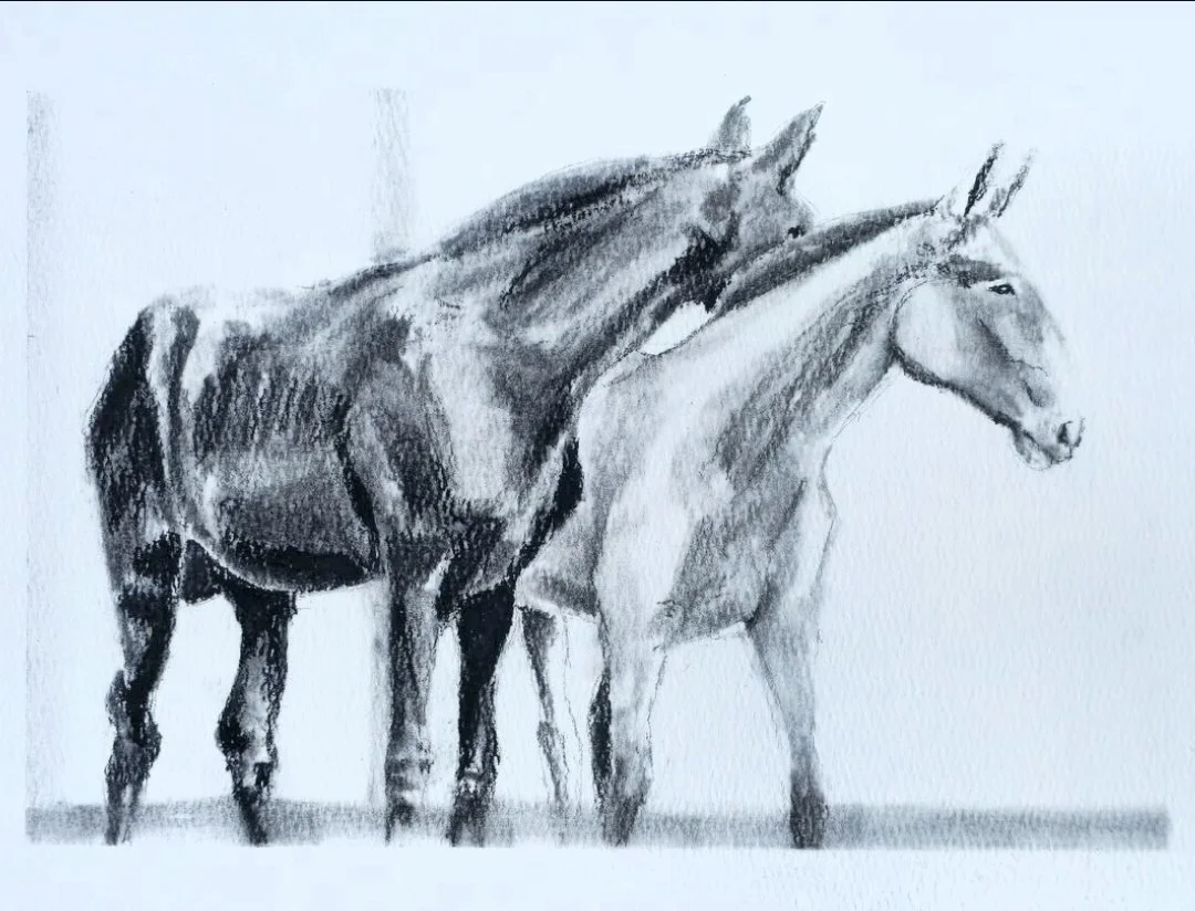 horses.jpg