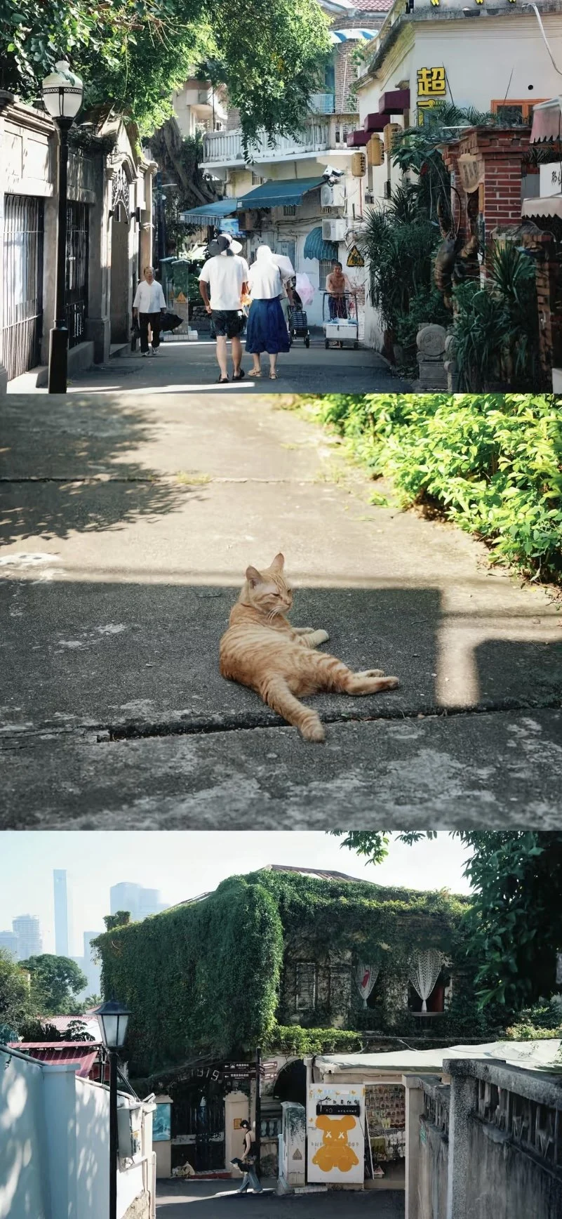 Weixin Image_20260408210402_533_3.jpg