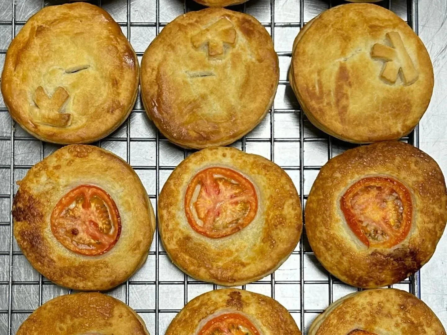 Stroganoff + Steak & Kidney Pie