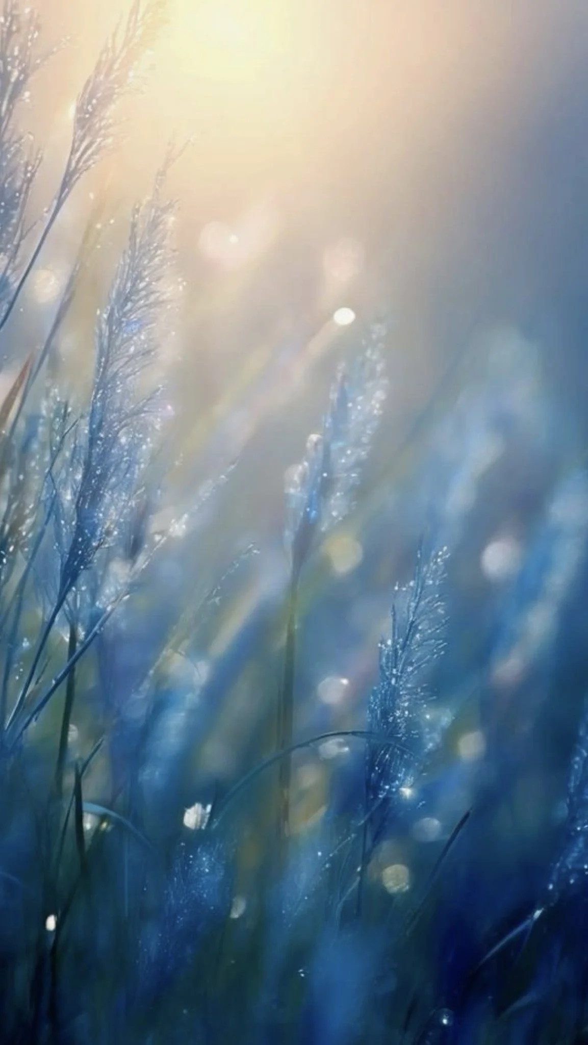 The Initial Treatment Program: Coming Soon