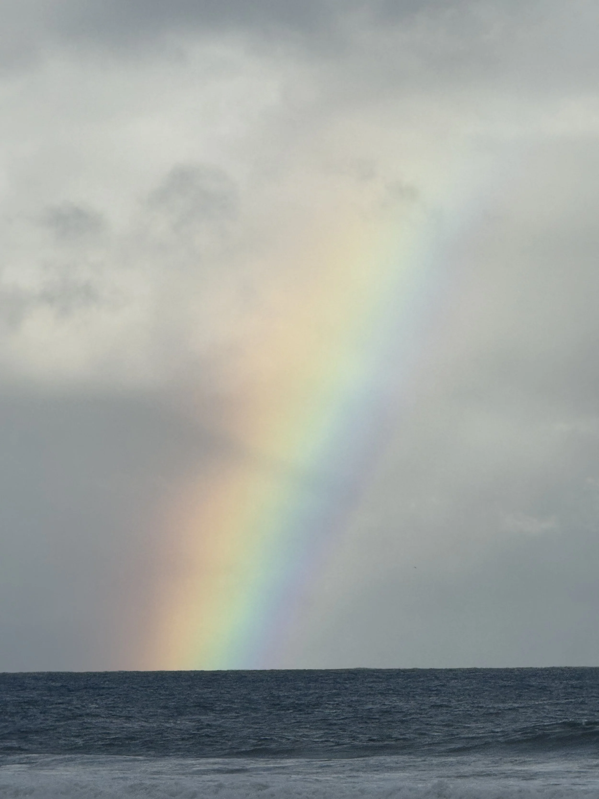 Emotional Healing Workshop: Express Your Interest