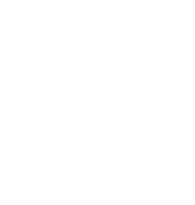 Denver Children’s Foundation Christmas for Kids