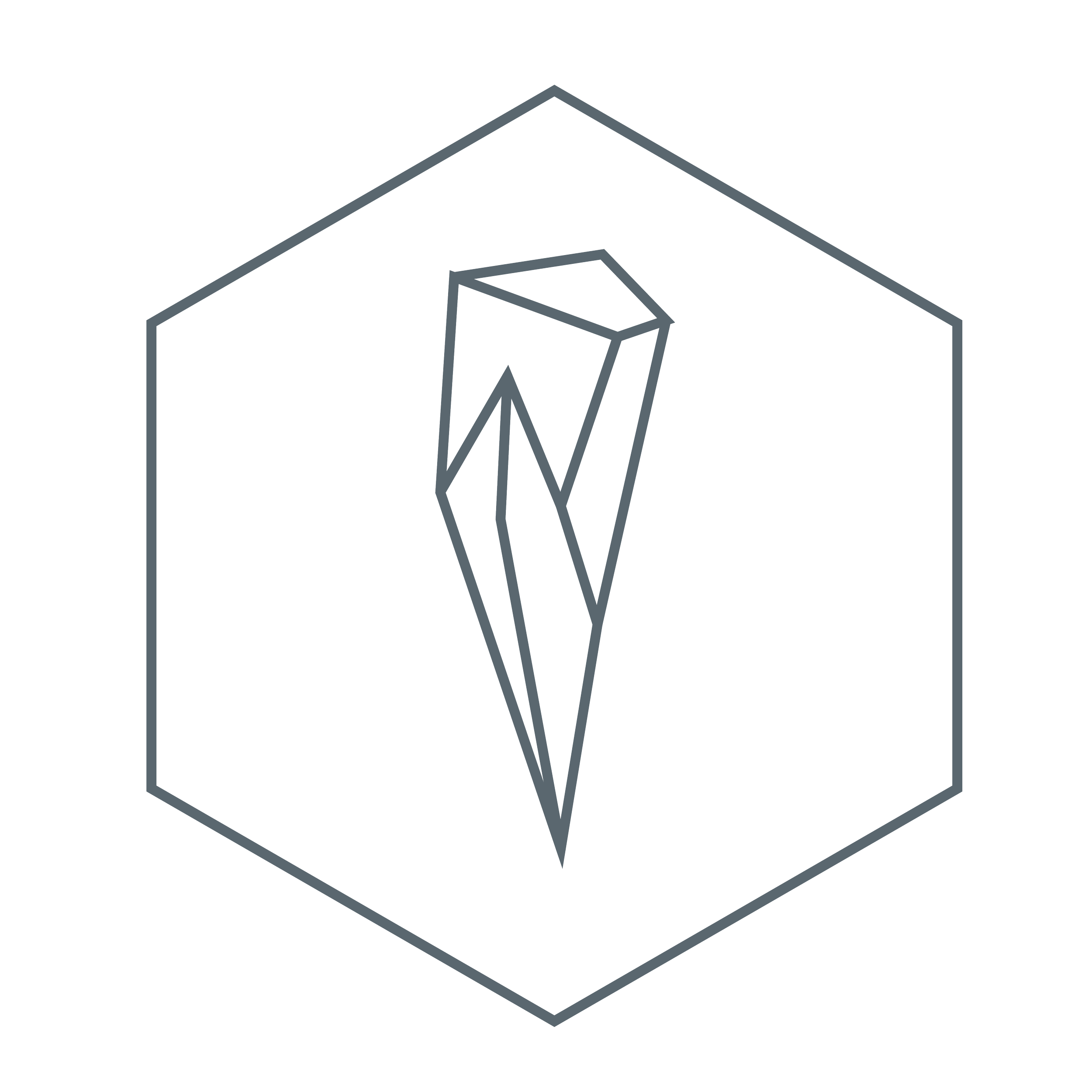 Line drawing of a gemstone inside a hexagon outline.