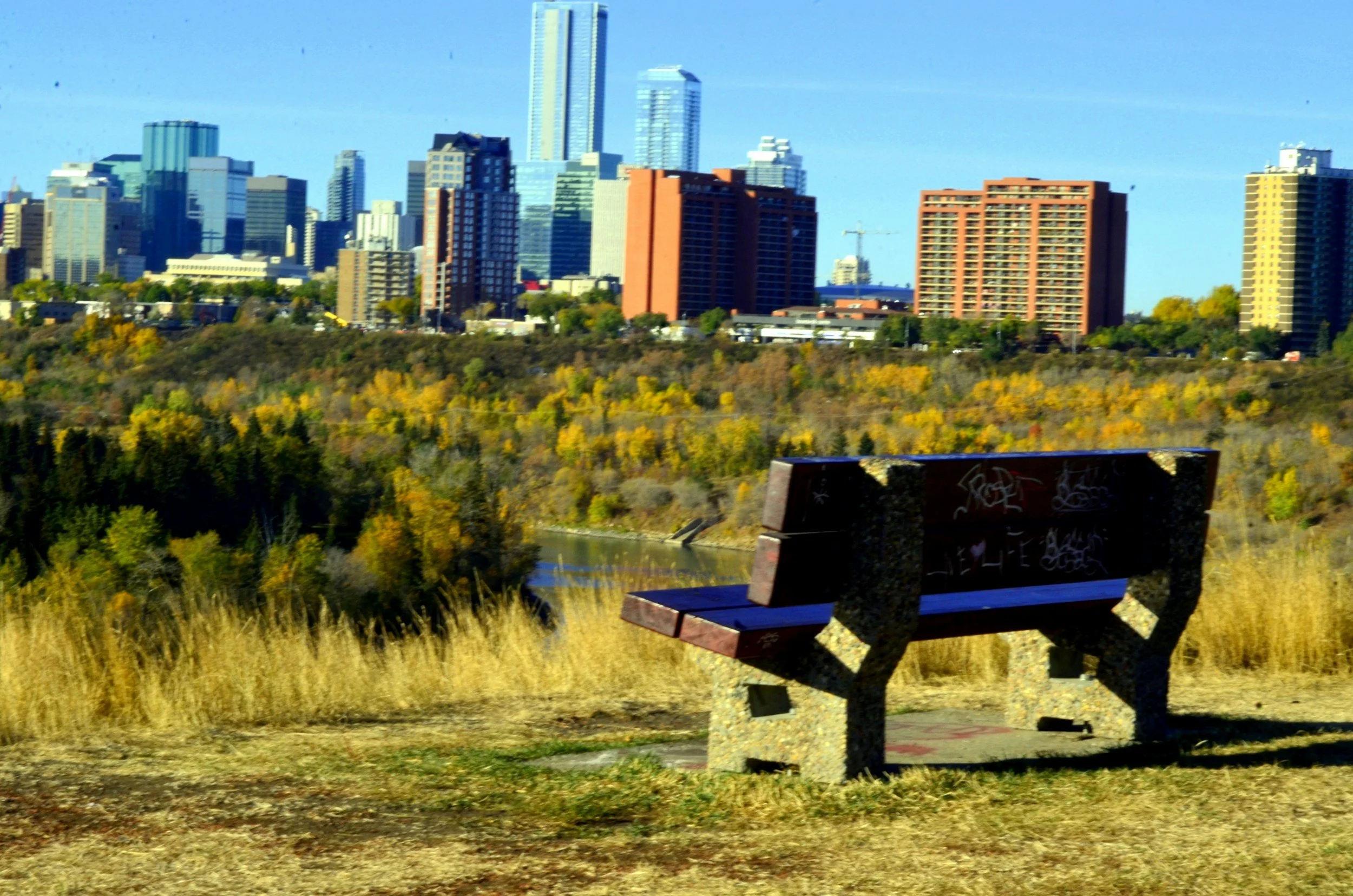 St. Albert Alberta park and skyline representing our local dog waste removal service area