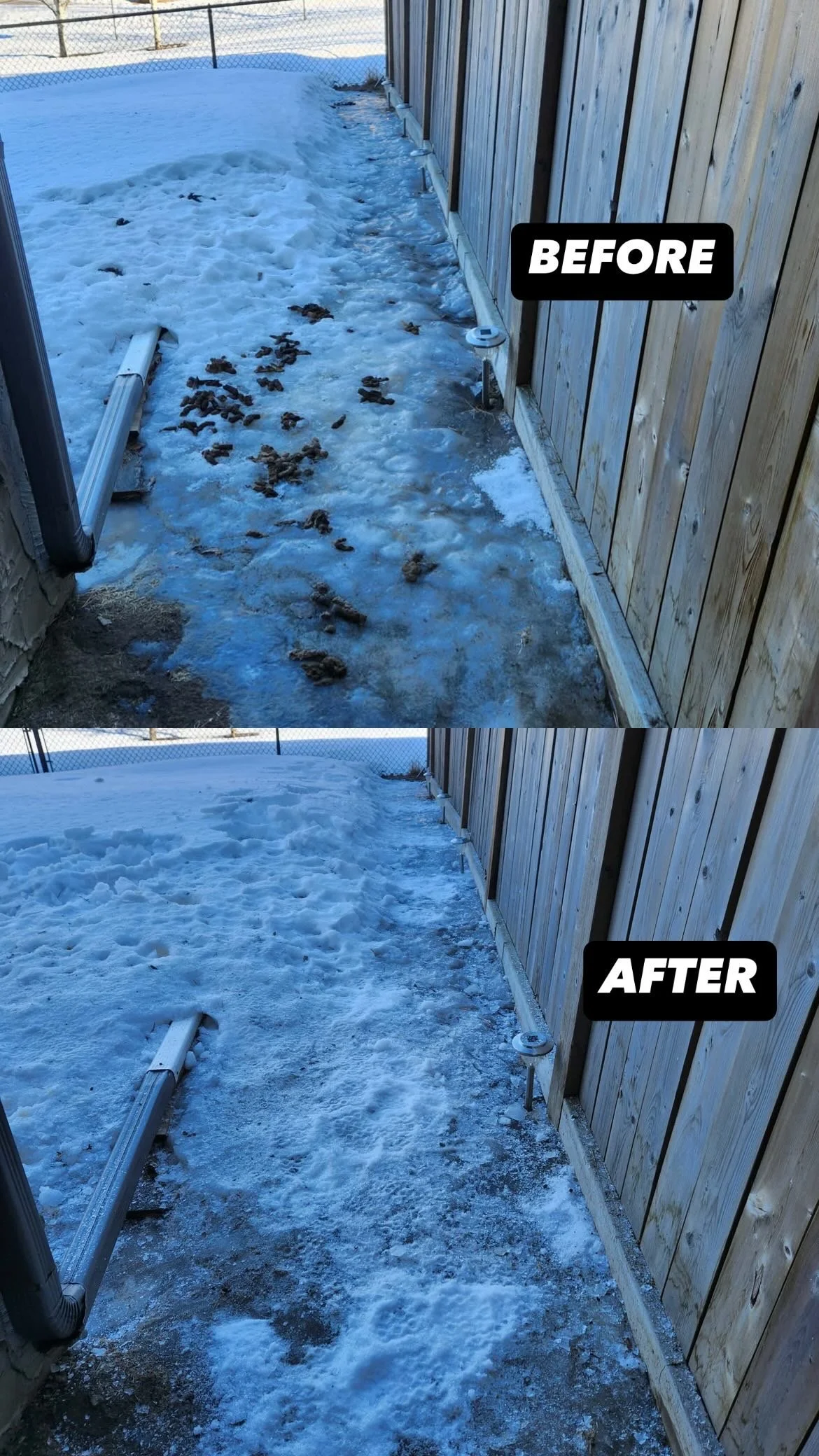 Before and after dog waste removal in Edmonton side yard during winter showing fence line cleaned after professional poop pickup