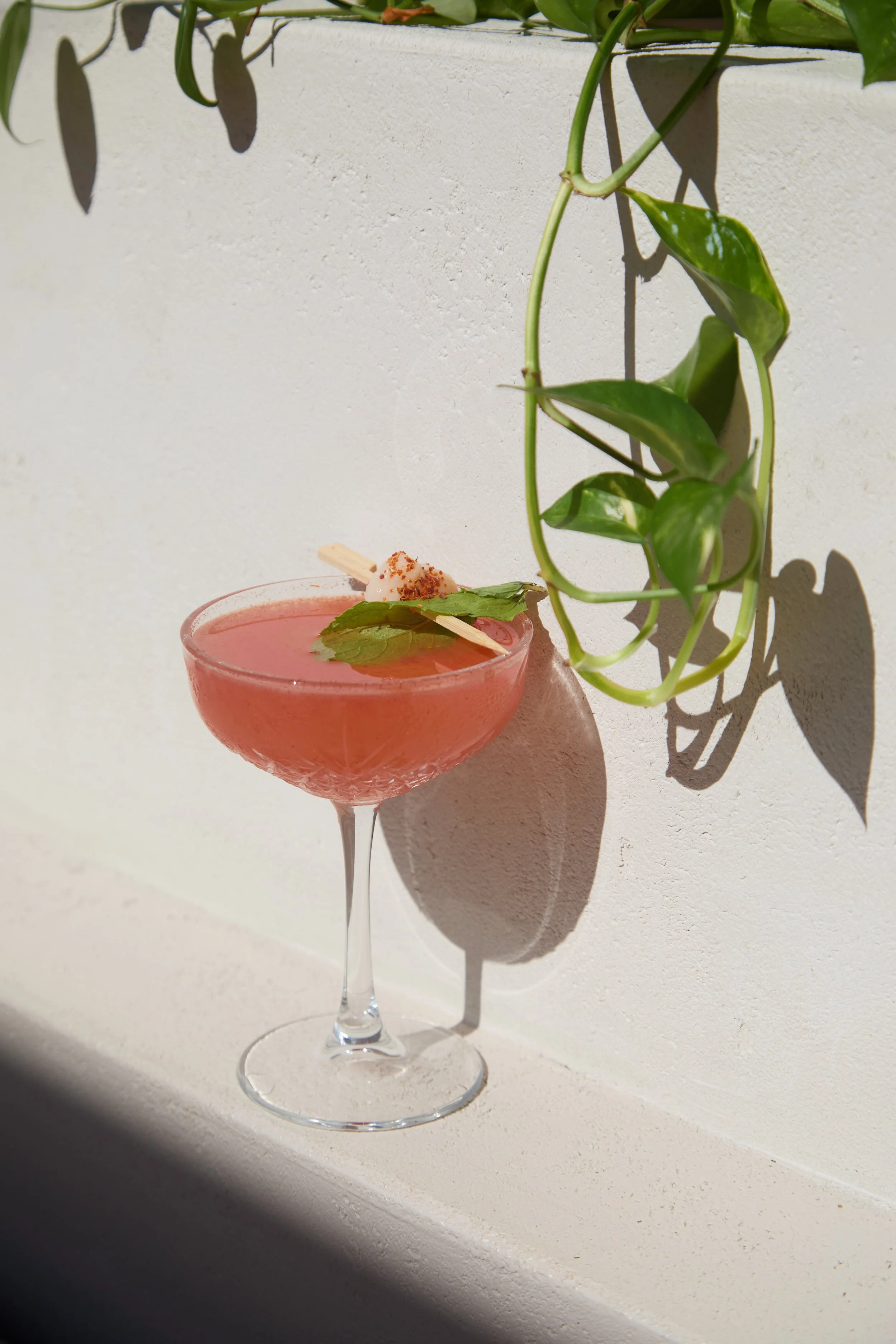 Melrose_Edited 40.jpg