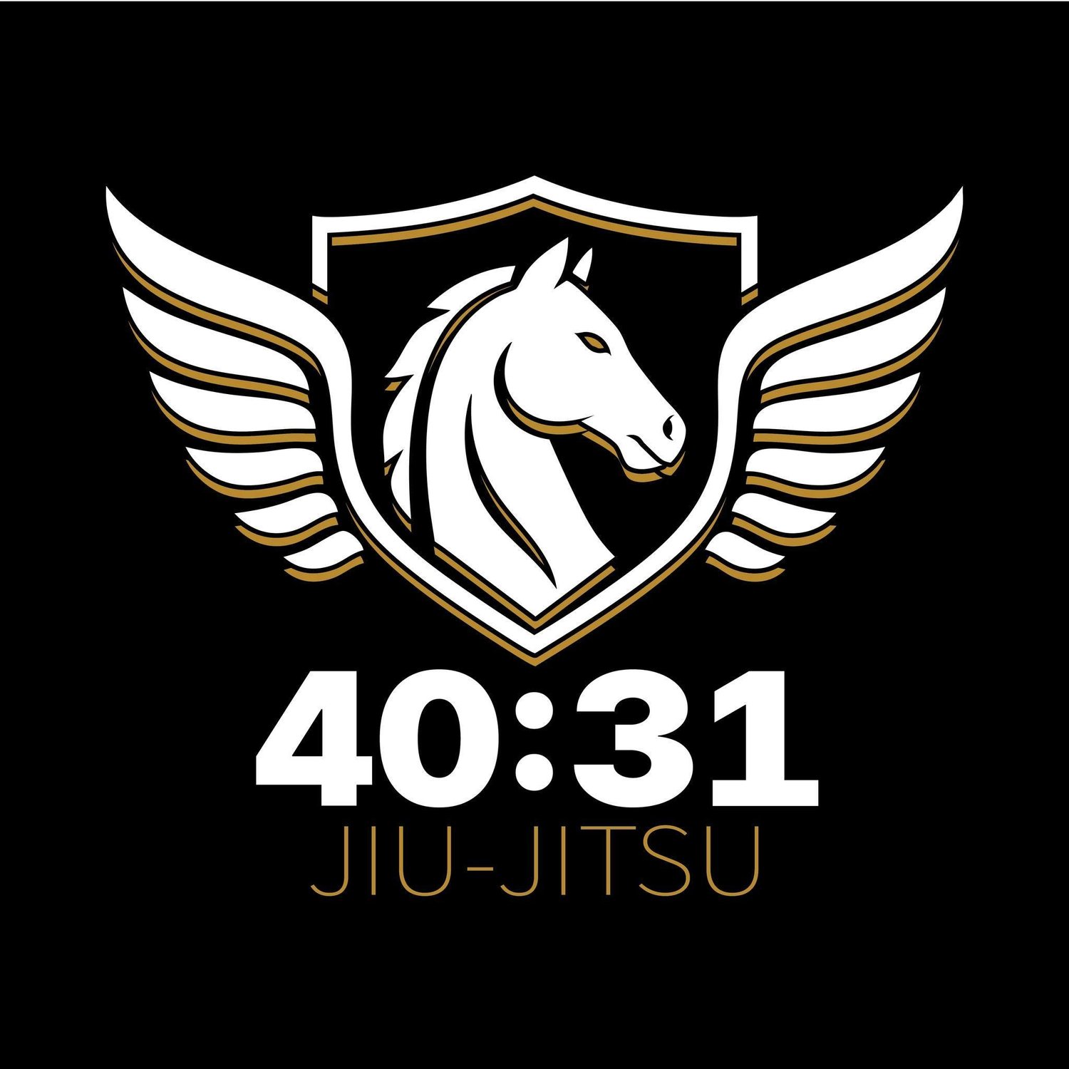4031 Jiu Jitsu