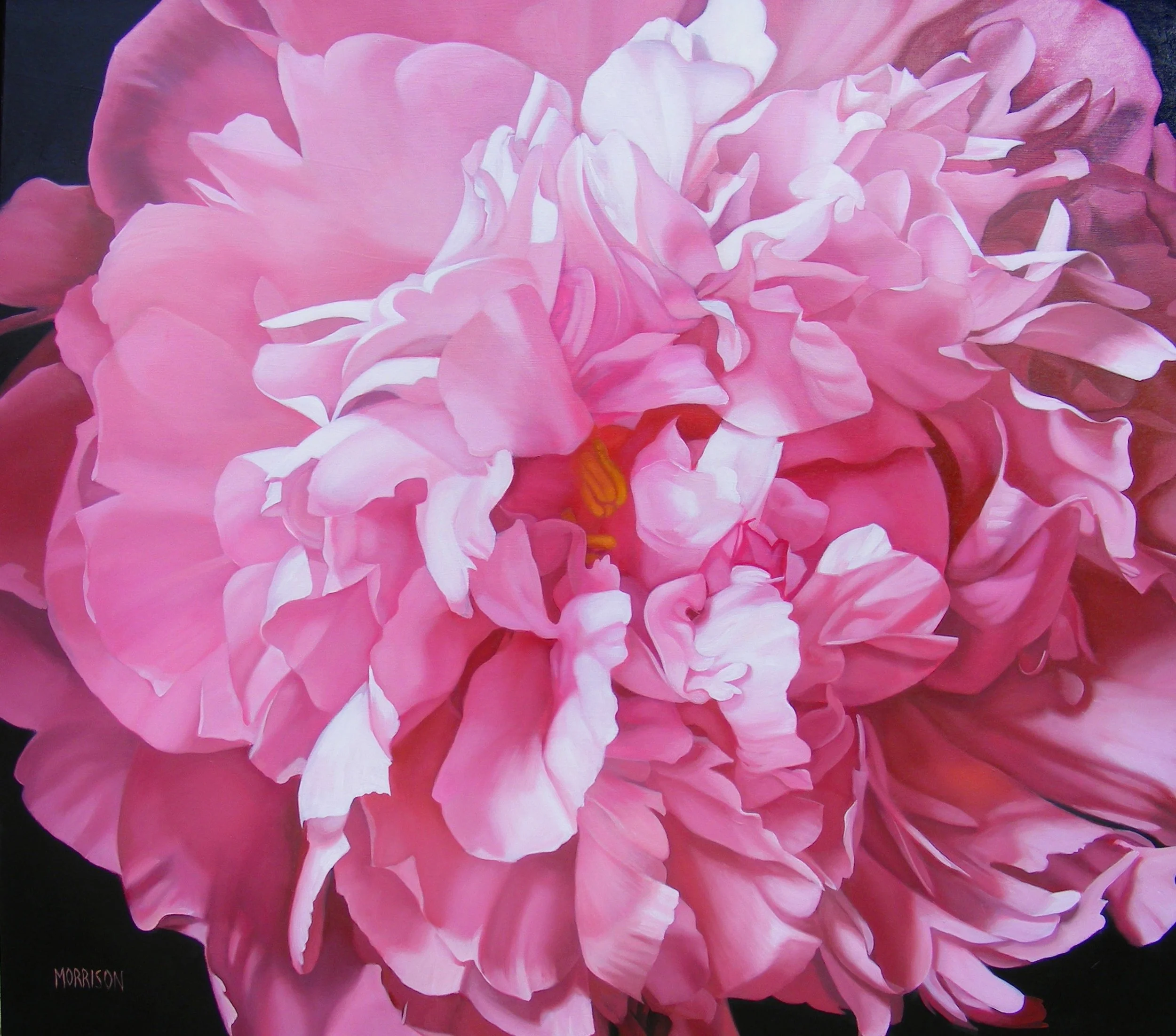Peony
Oil on canvas 54 x 48 inches