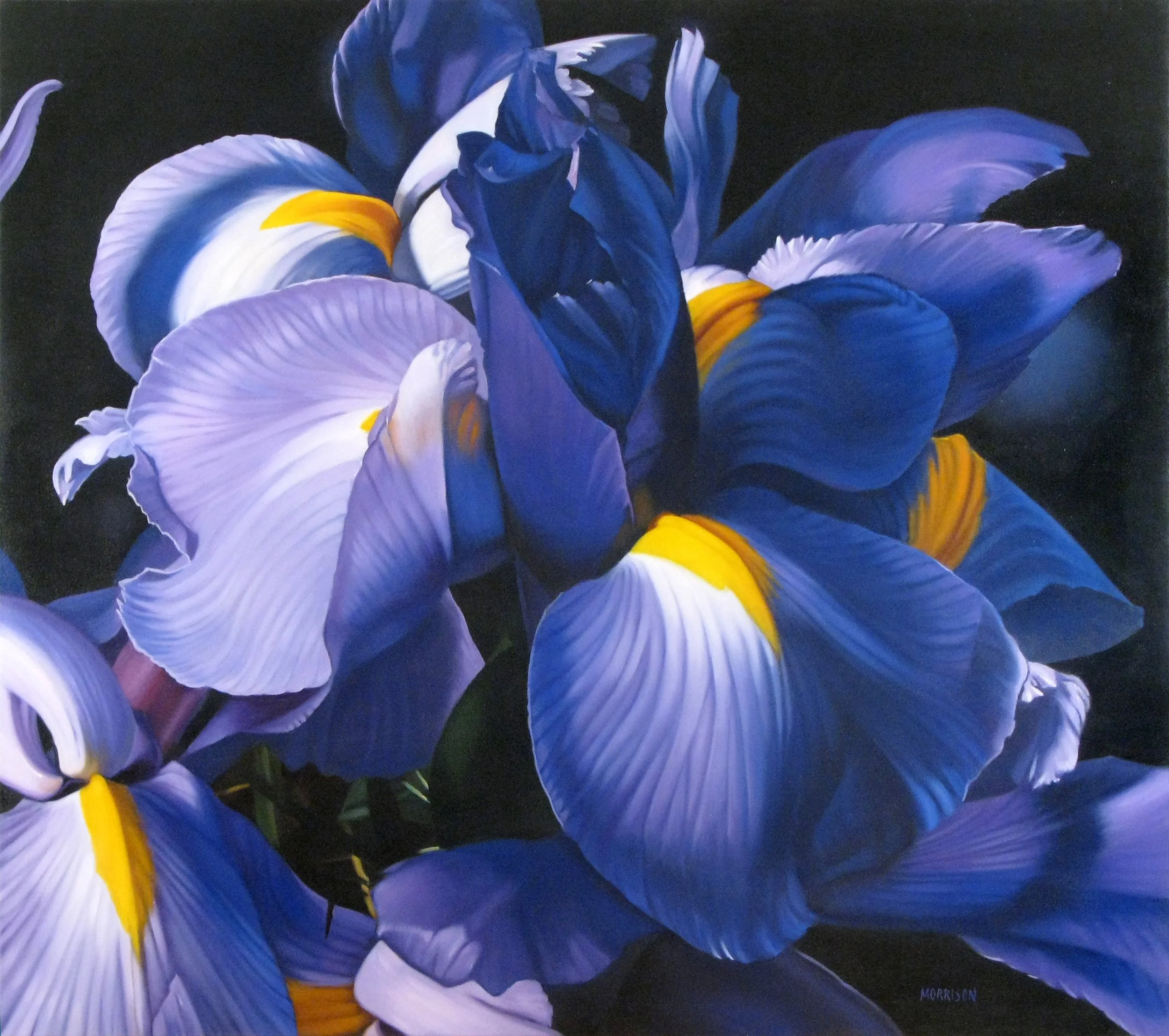 Iris
Oil on canvas 54 x 48 inches