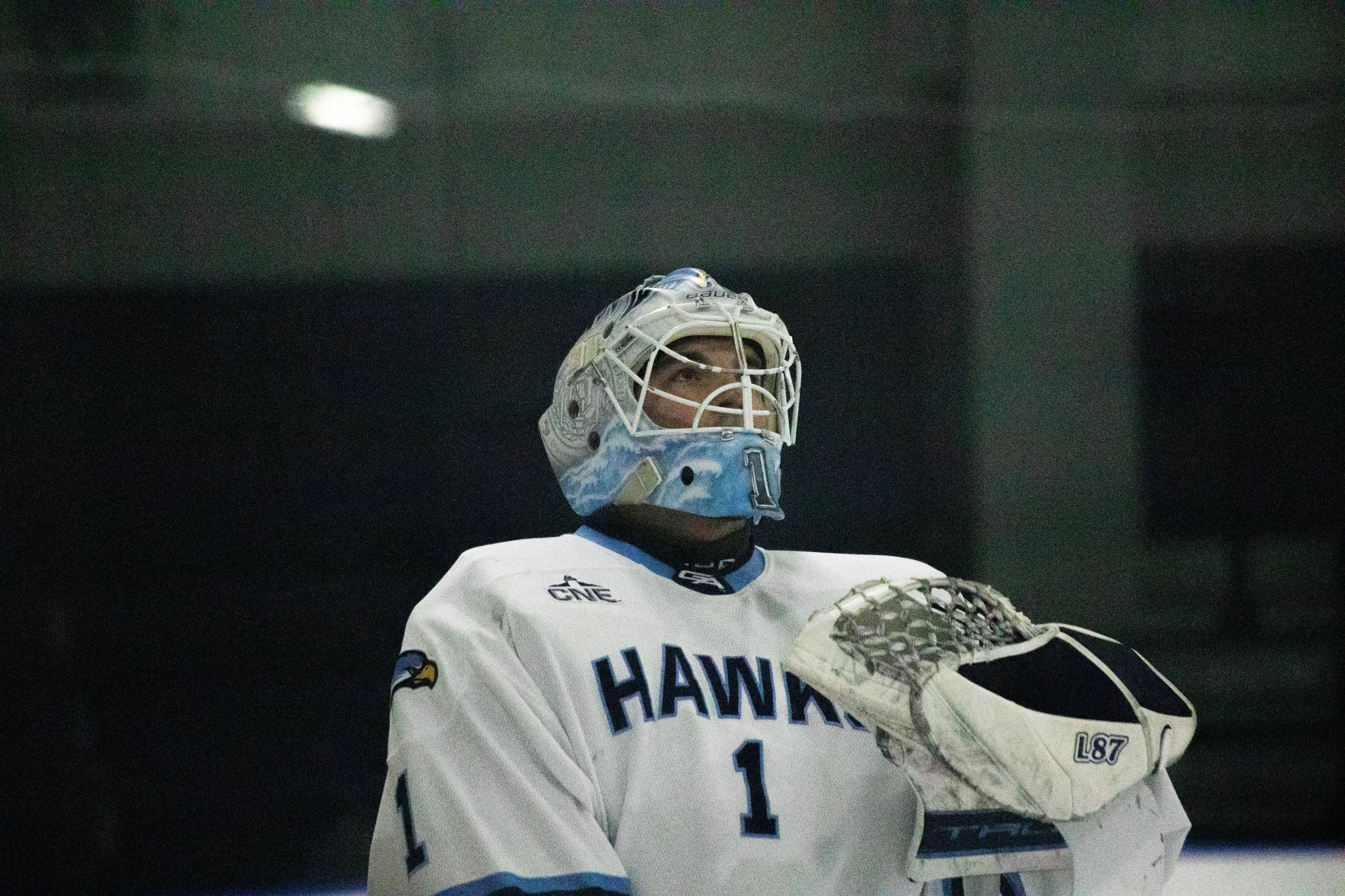 !Jazz looking up.jpg