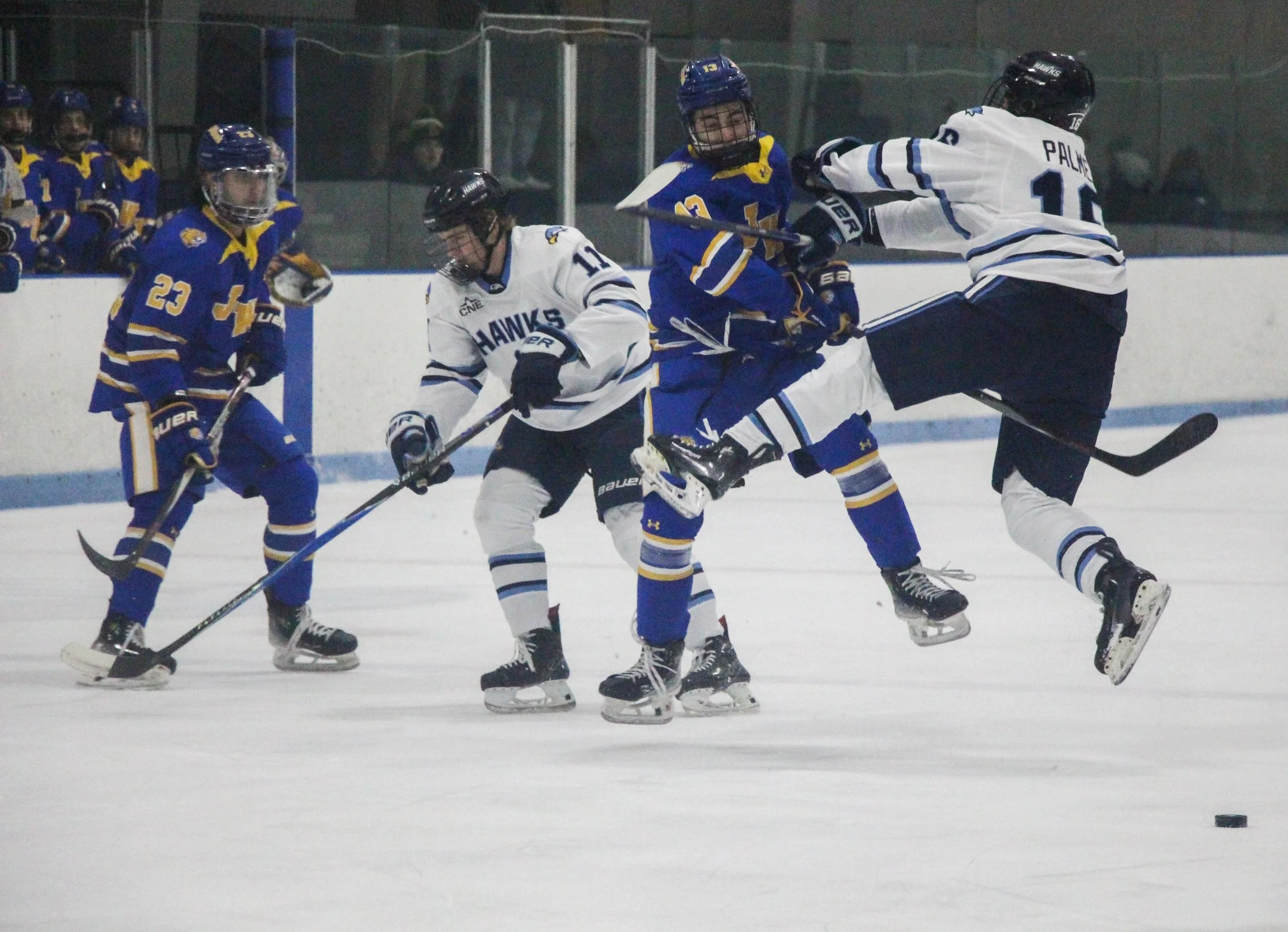 RWU Jumpshot crop.jpg