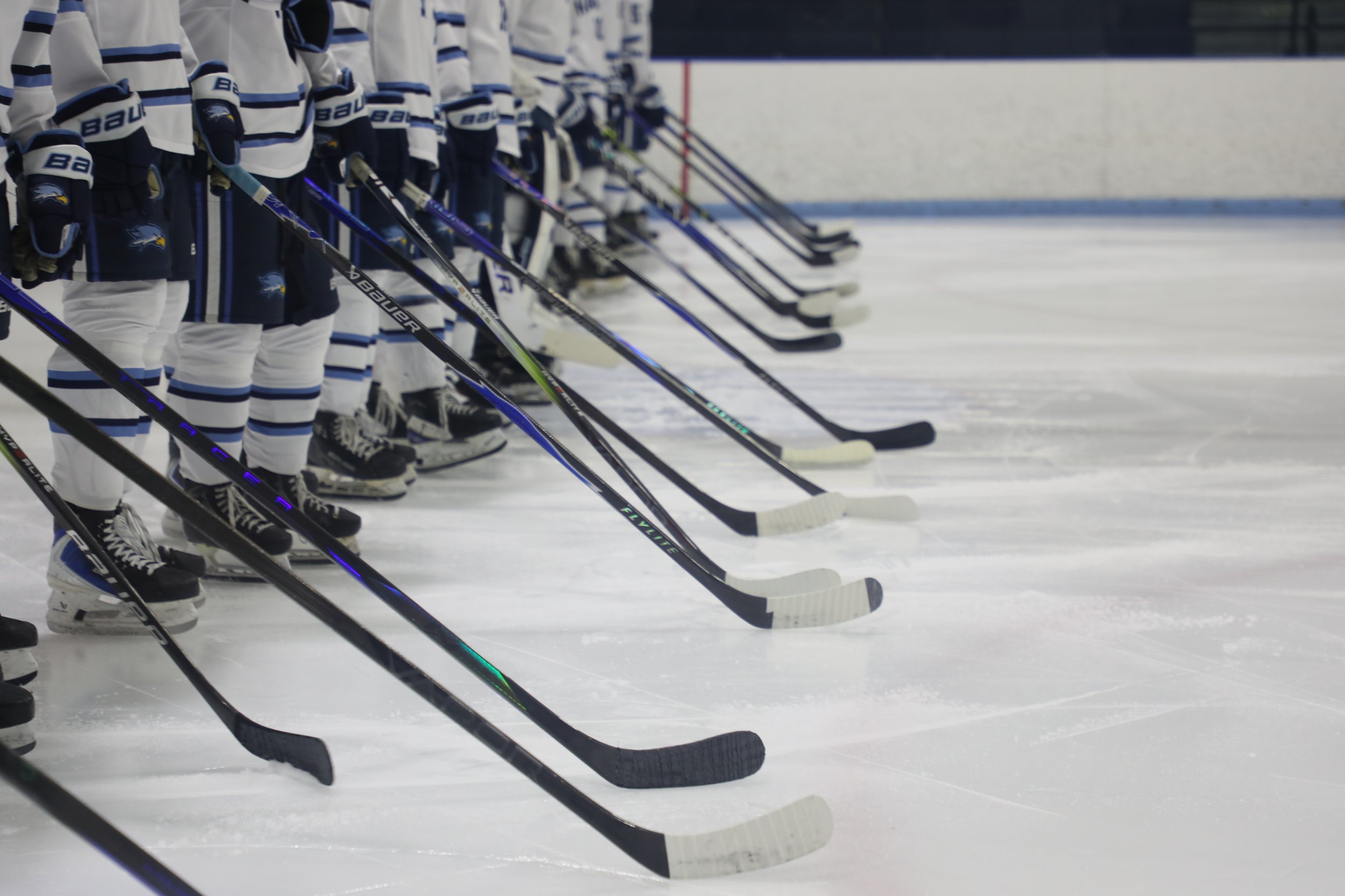 Sticks Starting Line.JPG