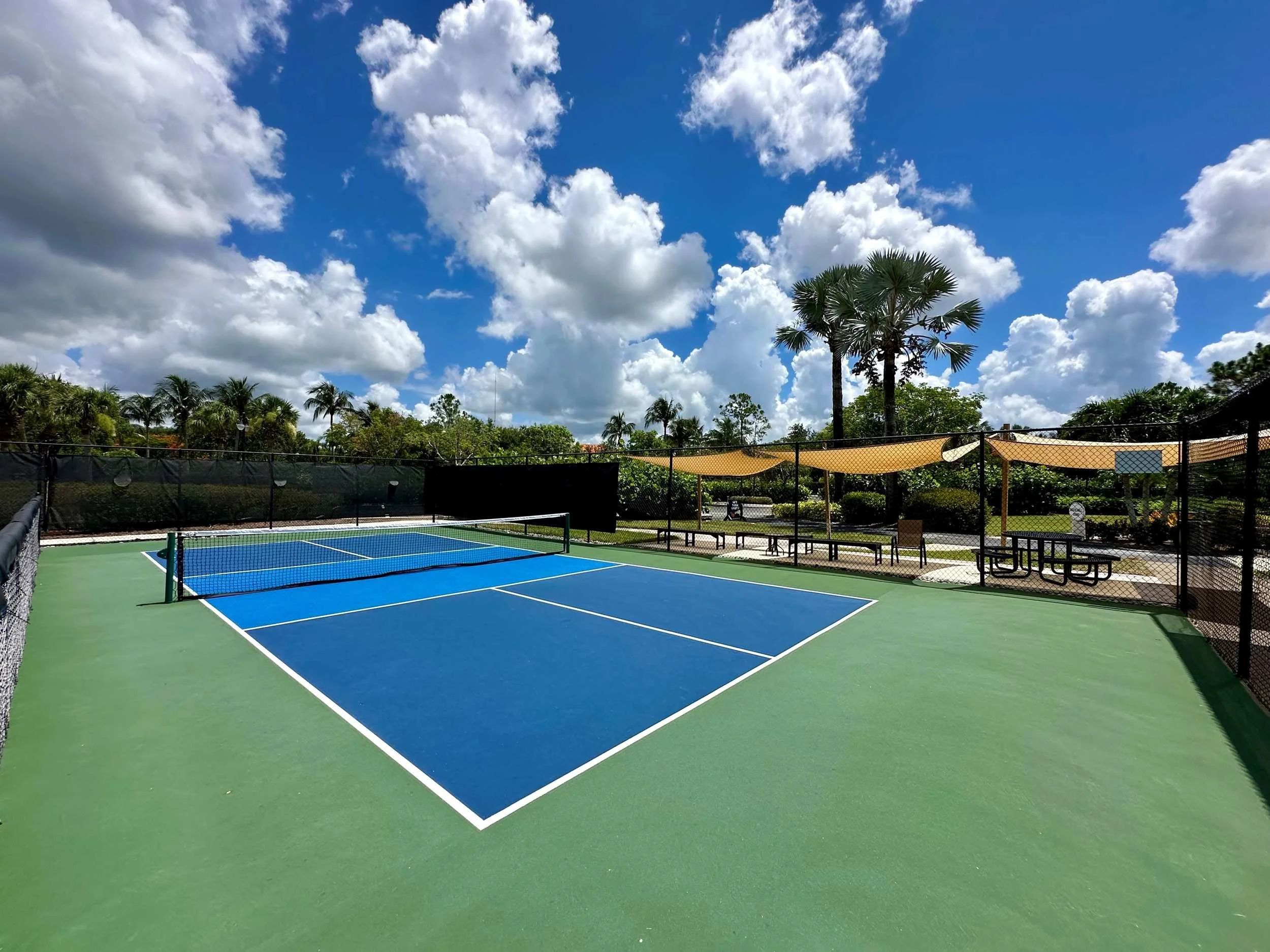 An pickleball court with blue playing surface and green surrounding area, enclosed by black chain-link fencing, under a partly cloudy sky with palm trees and lush greenery in the background.