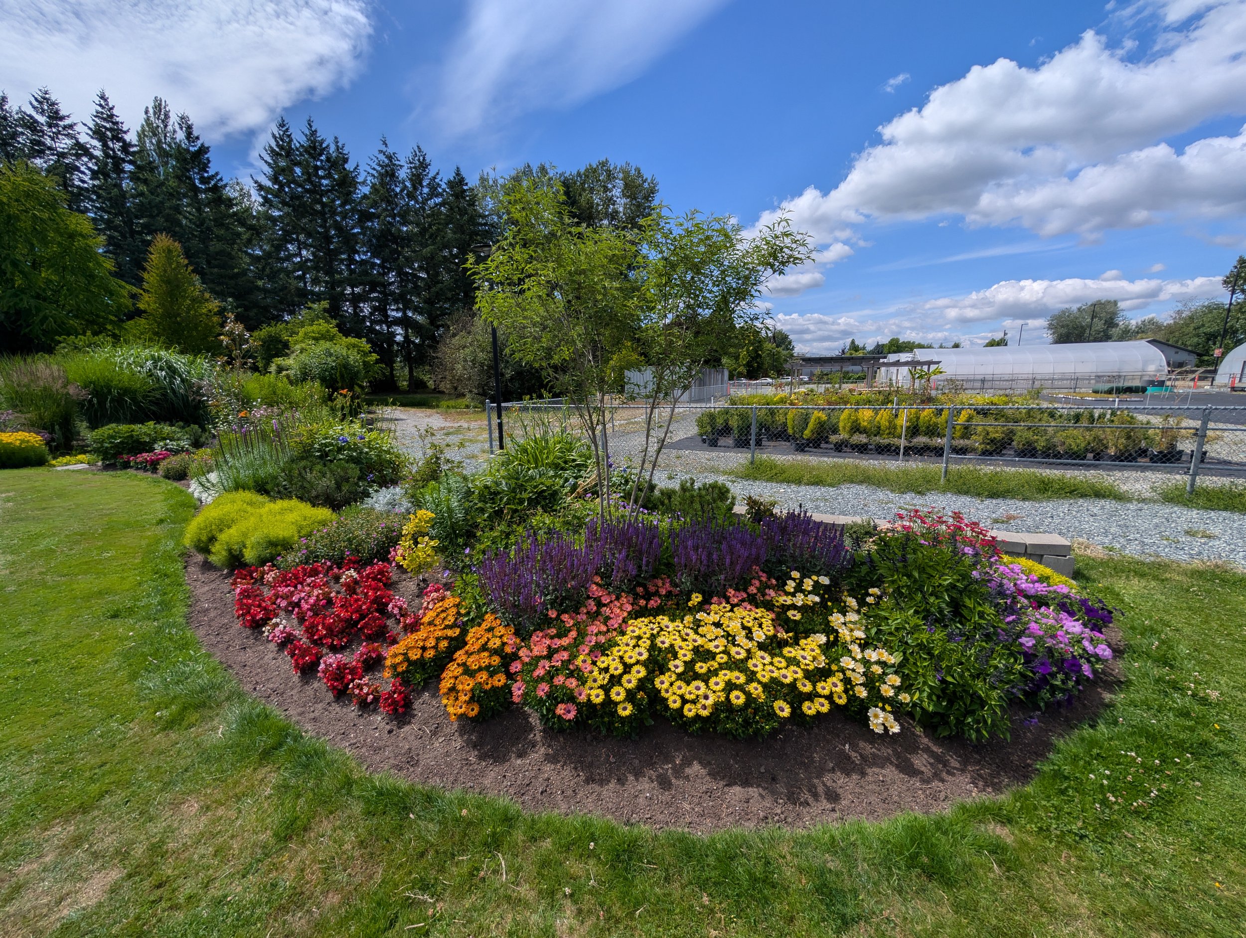 Colorful flower garden with various plants and flowers, a green lawn, trees in the background, and a greenhouse under a partly cloudy sky.