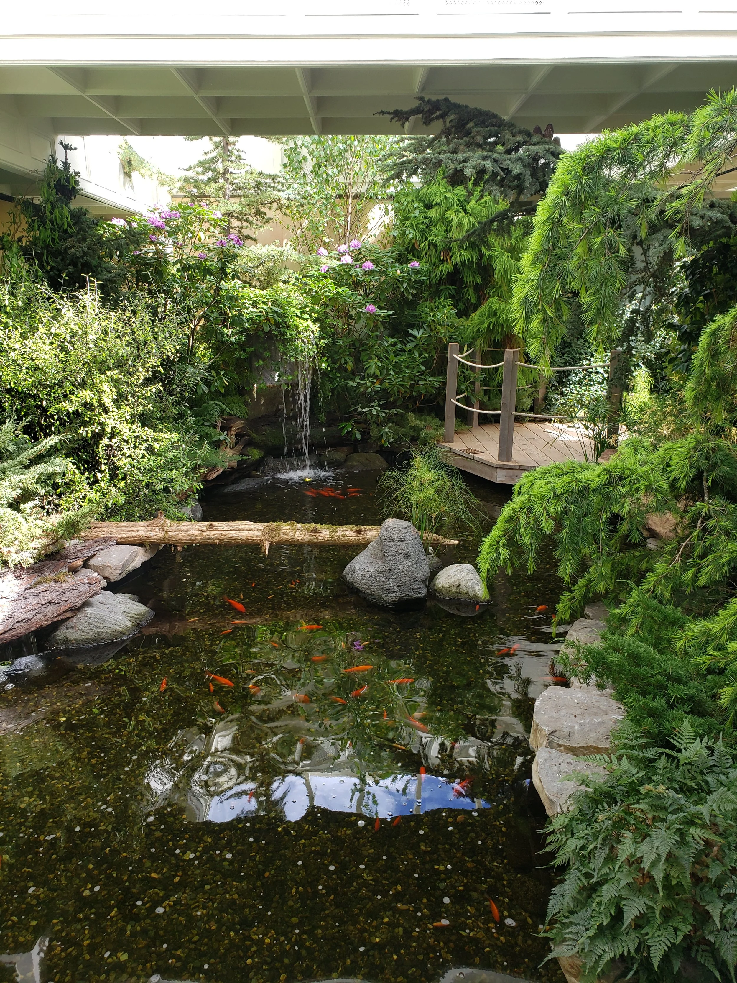 Indoor garden with a small pond, koi fish, rocks, lush green plants, trees, a wooden footbridge, and a water feature with a gentle waterfall.