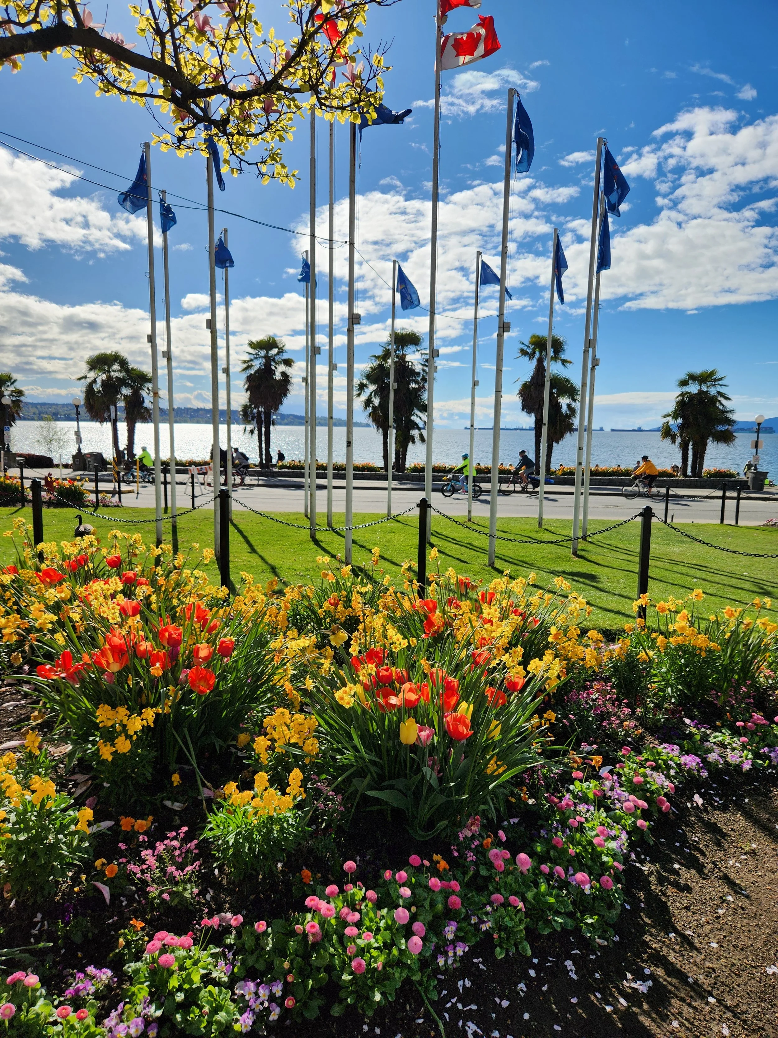 Colorful flower bed with yellow, red, and purple flowers in front of a lake, with palm trees, flagpoles with blue flags, and people biking along the waterfront.
