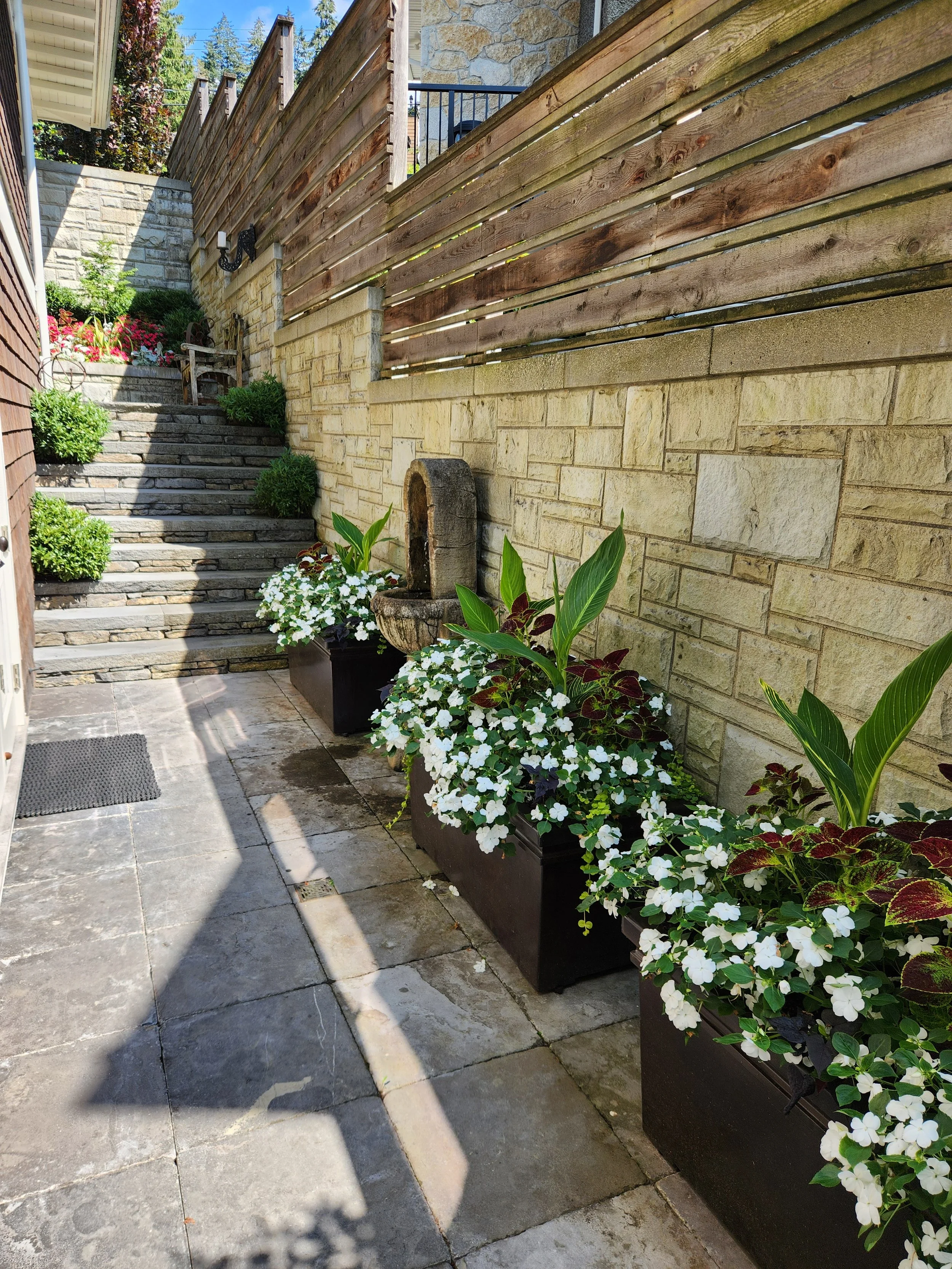 A sunny outdoor patio with stone tile flooring, three large black planters filled with white and burgundy flowering plants, and a stone fountain against a beige stone wall. There are stairs leading up to another level with more plants and a wooden fe