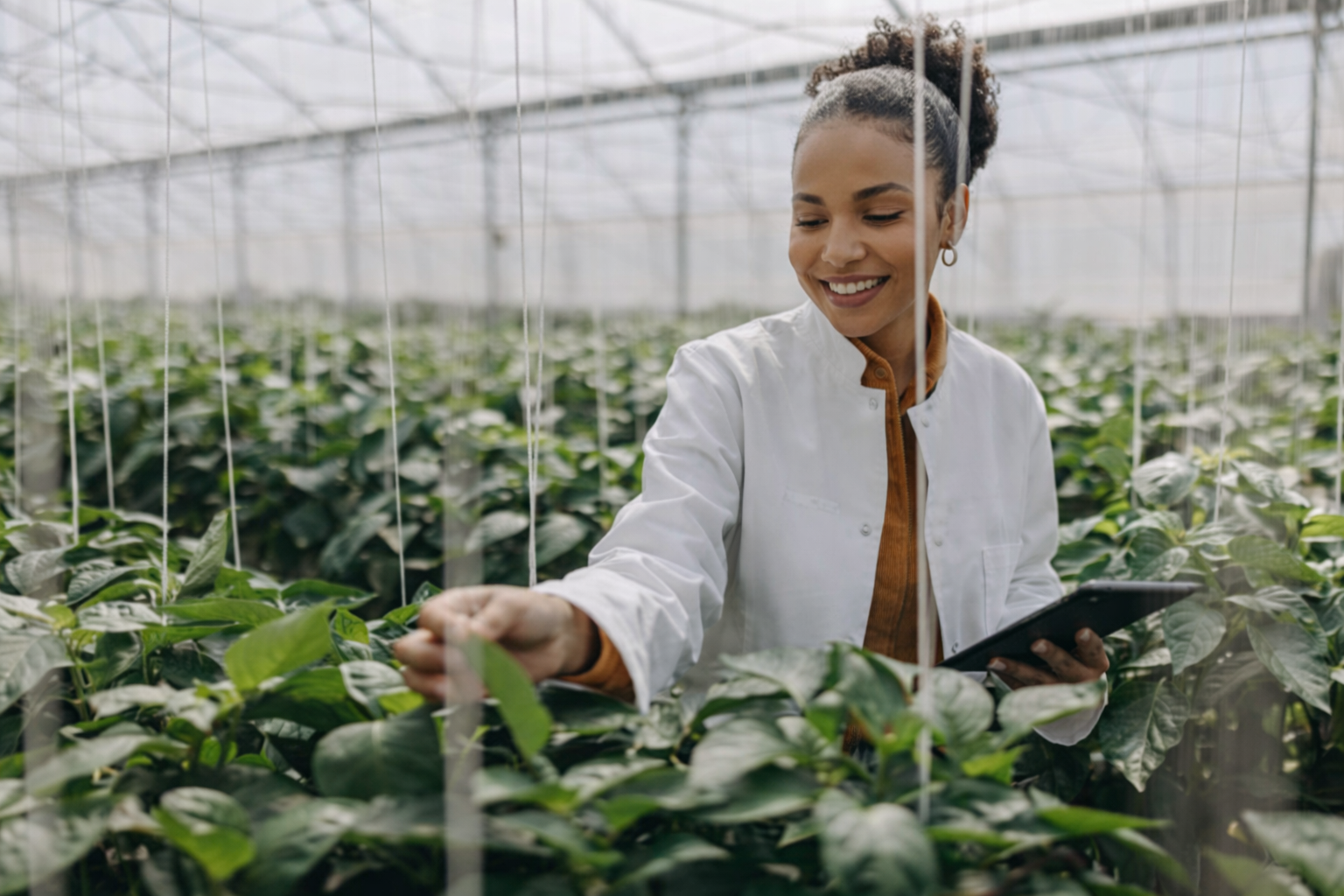A smiling woman in a white lab coat inspecting plants in a greenhouse while holding a tablet.