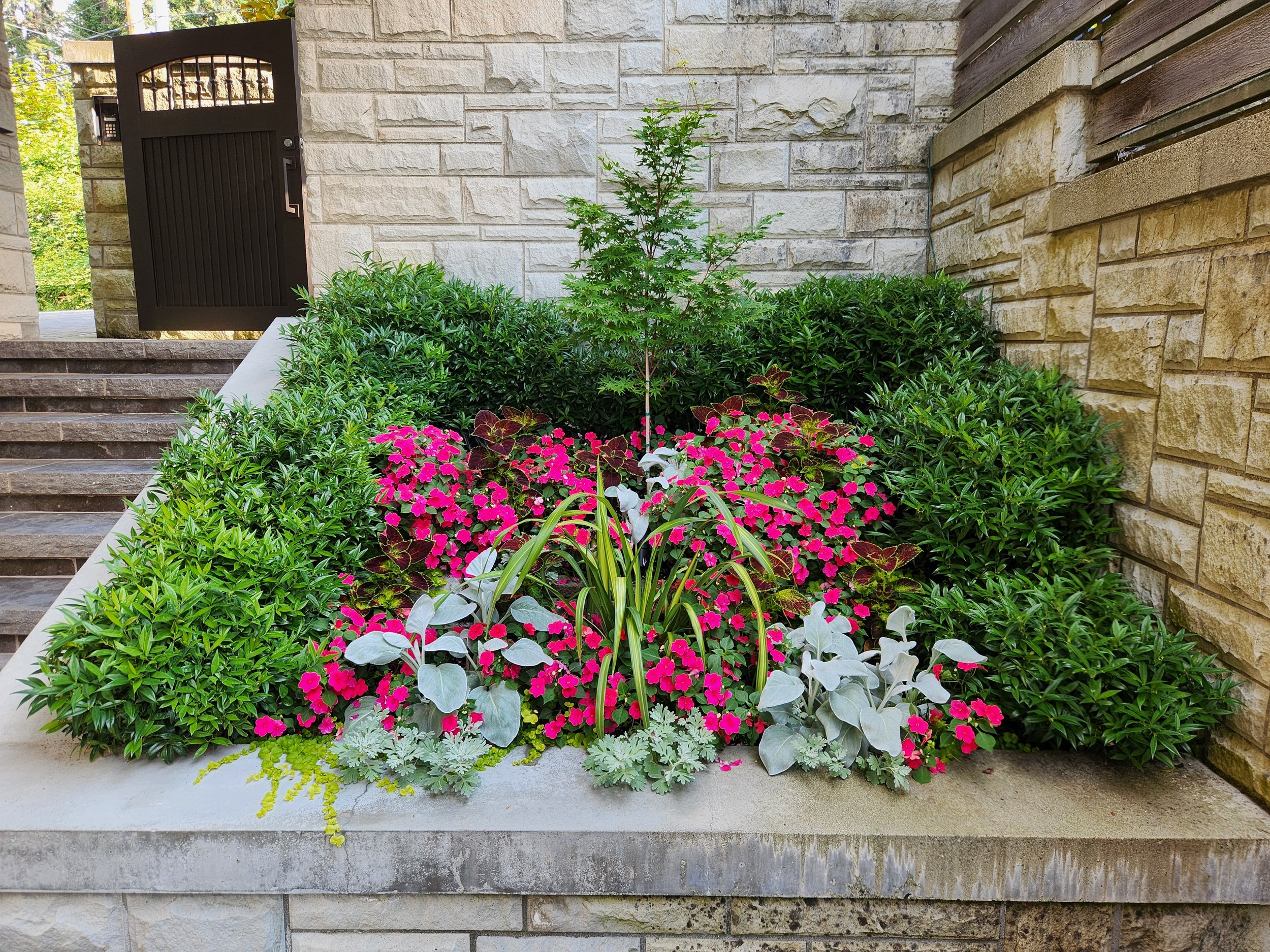 A landscaped front garden with a variety of green bushes, pink flowers, and a small tree, adjacent to stone steps and a stone wall near a black metal gate.