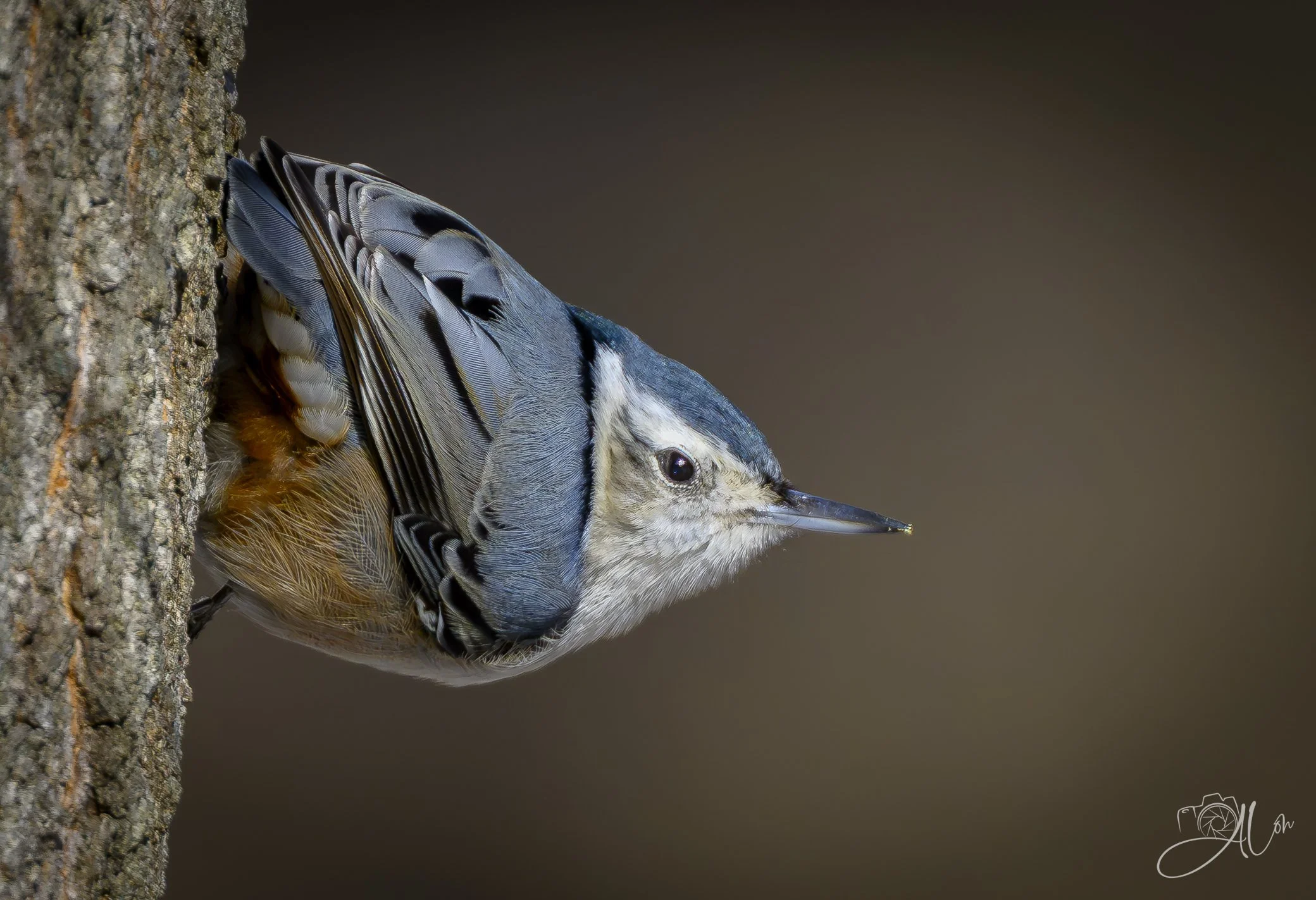 The Beginnings of Our Connection