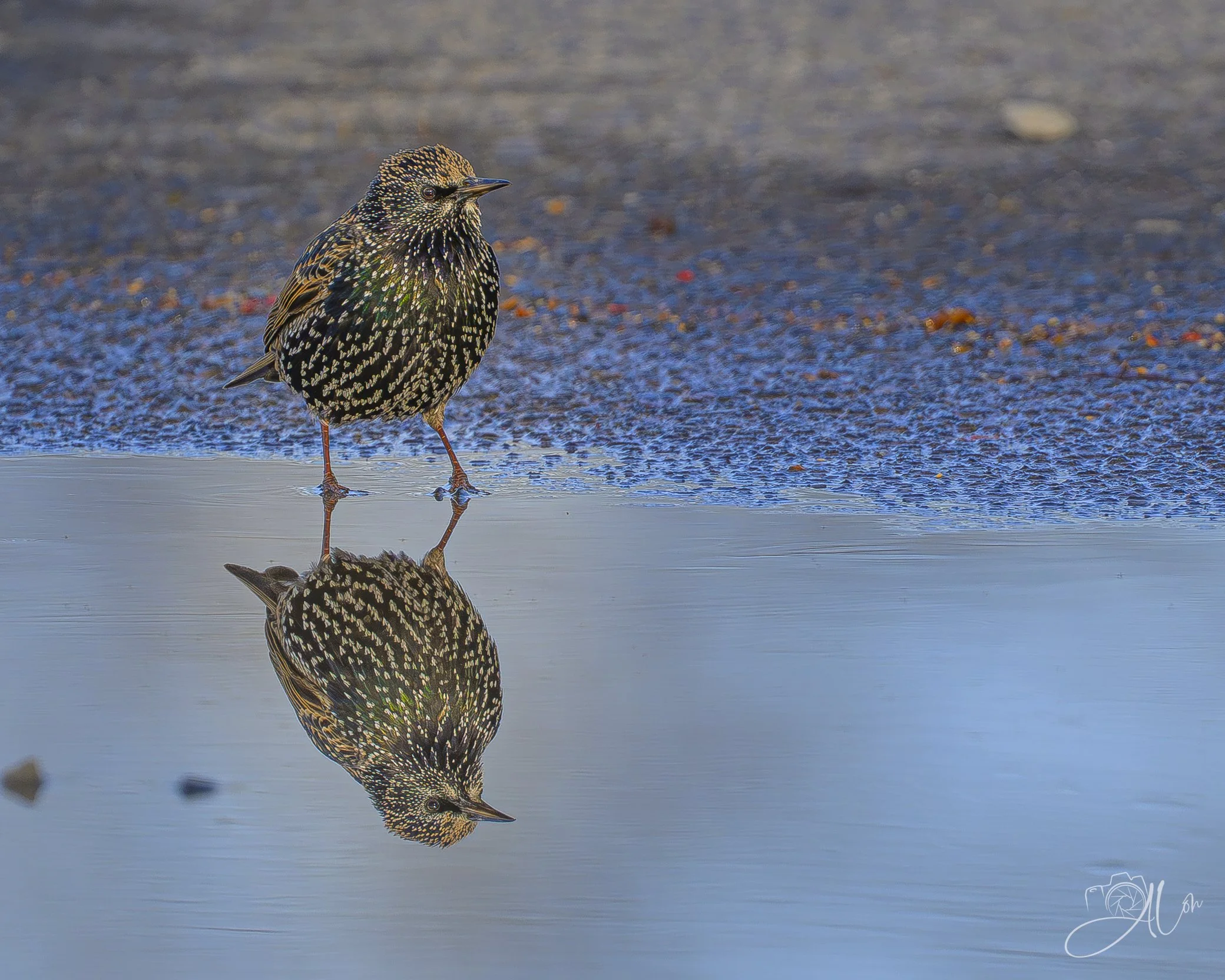 On the Other Side of the Sun.