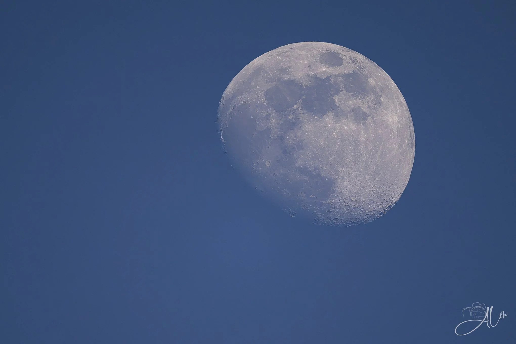 Moonshot
0Z80305
