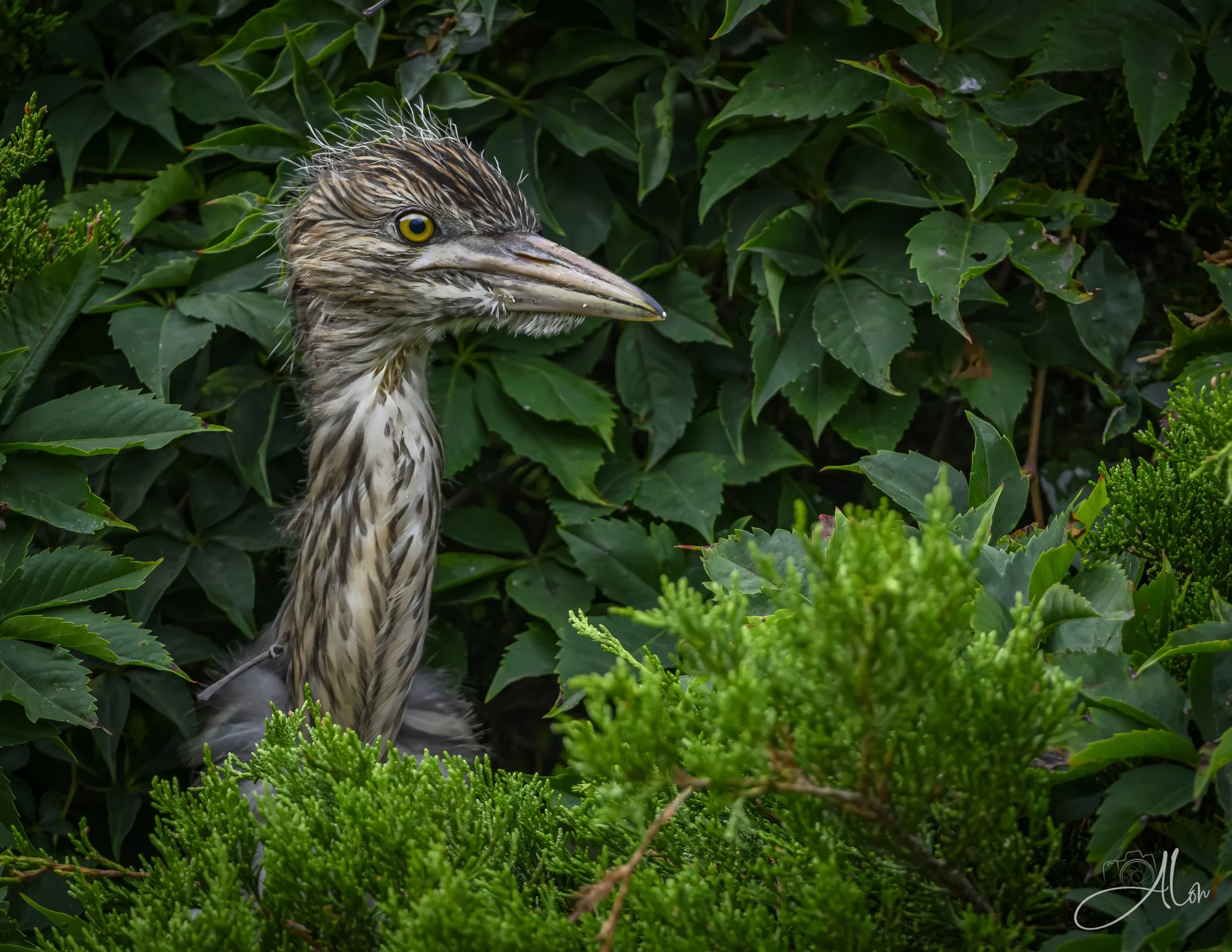 081226_0018.jpg