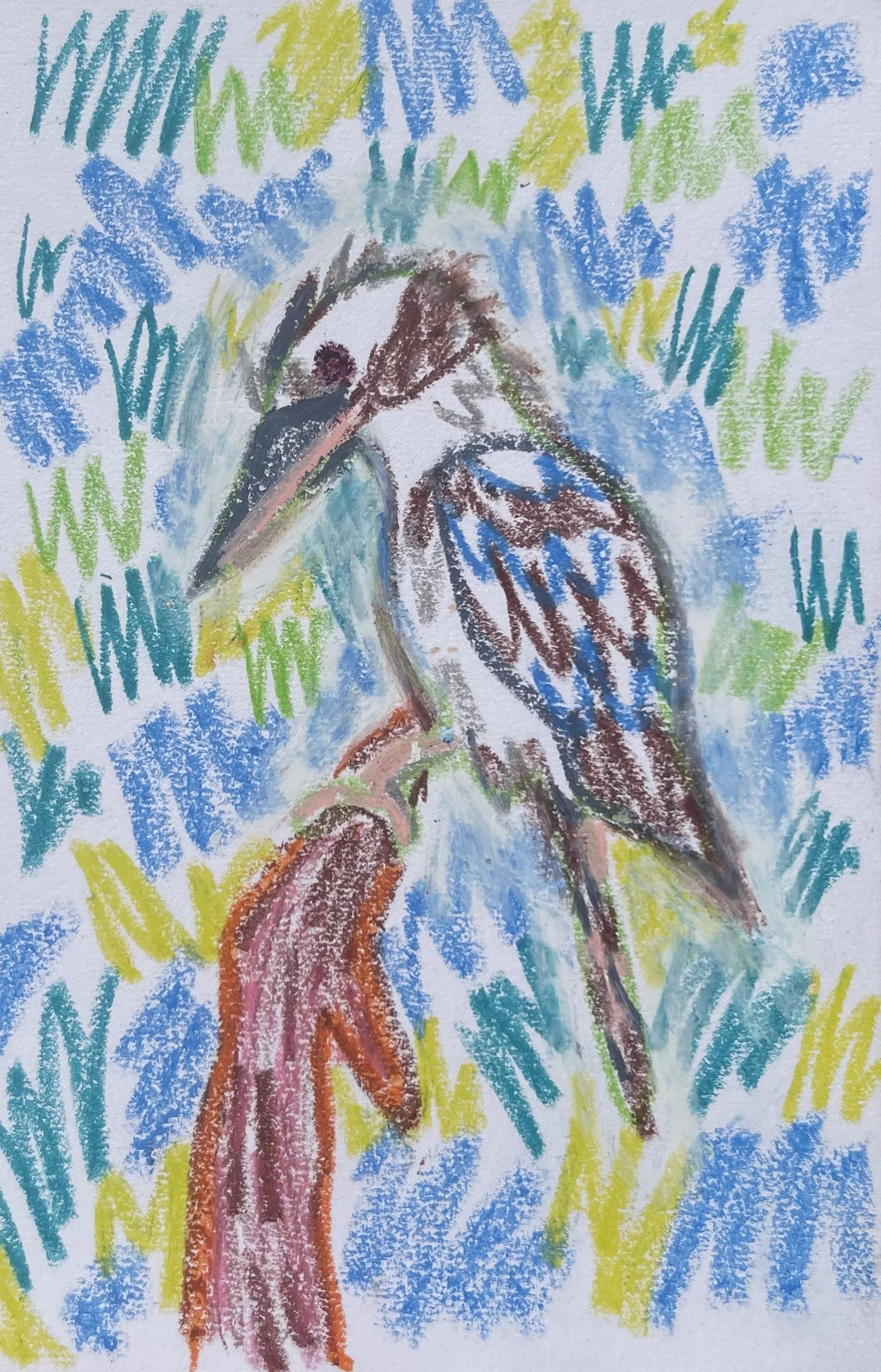 Oil Pastel Kookaburra