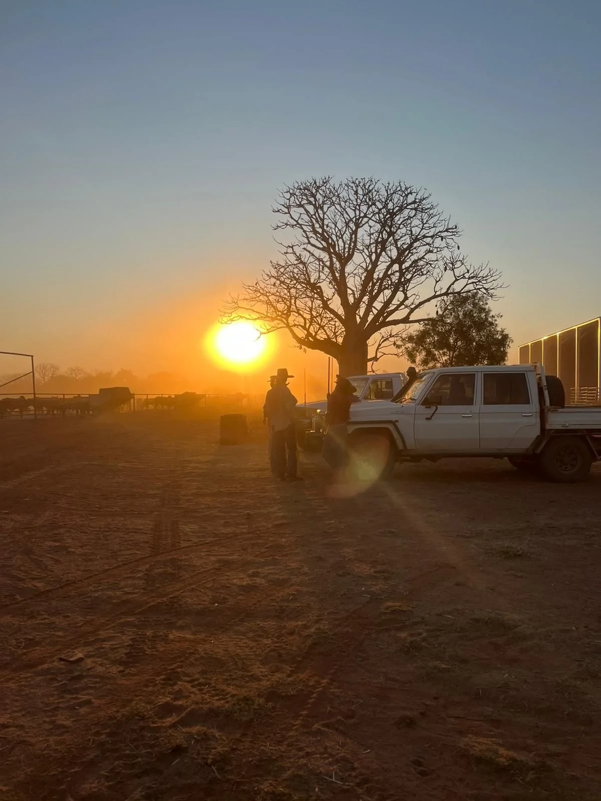 Two men in cowboy hats and jeans stand next to parked pickup trucks under a leafless tree at sunset. A fence with cattle is visible in the background, with the sky glowing orange and blue hues.