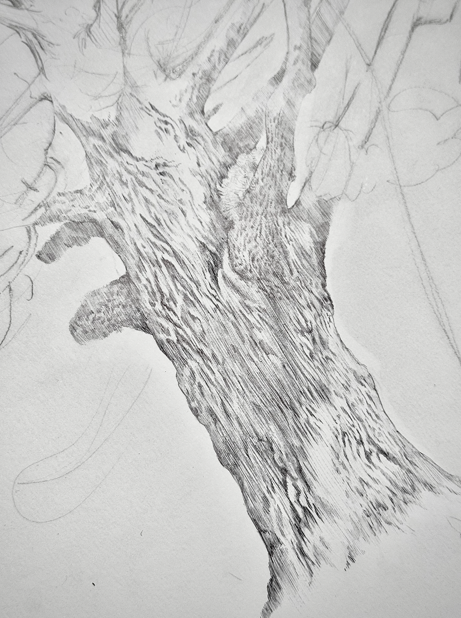 Screenshot 2026-04-23 at 3.06.14 PM.png