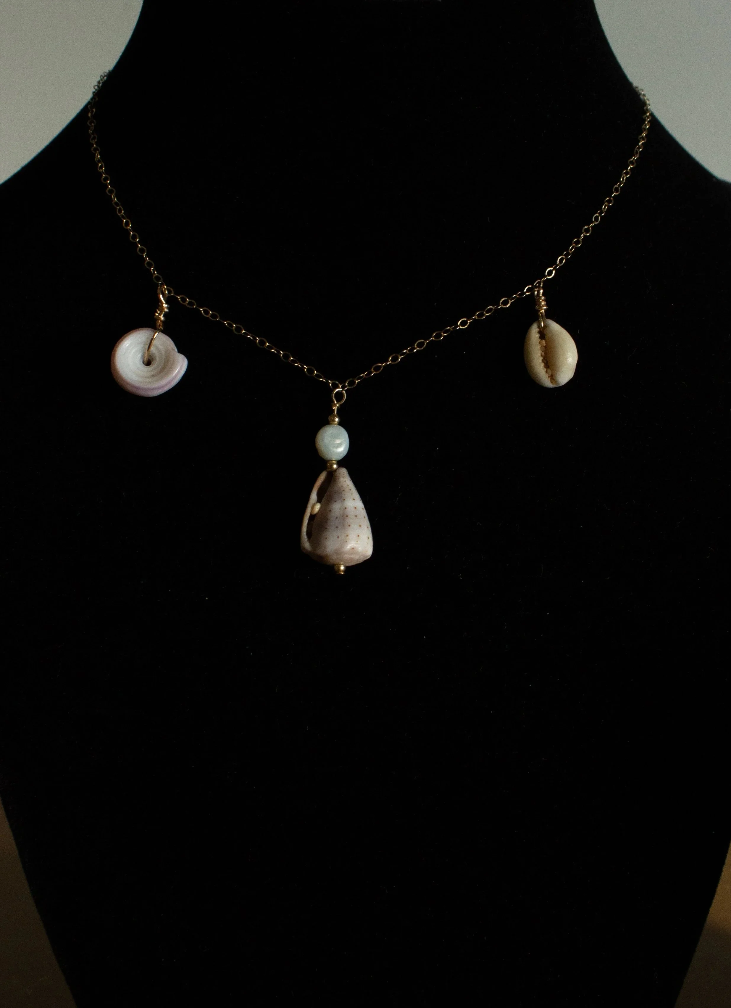 _MG_5481.jpg