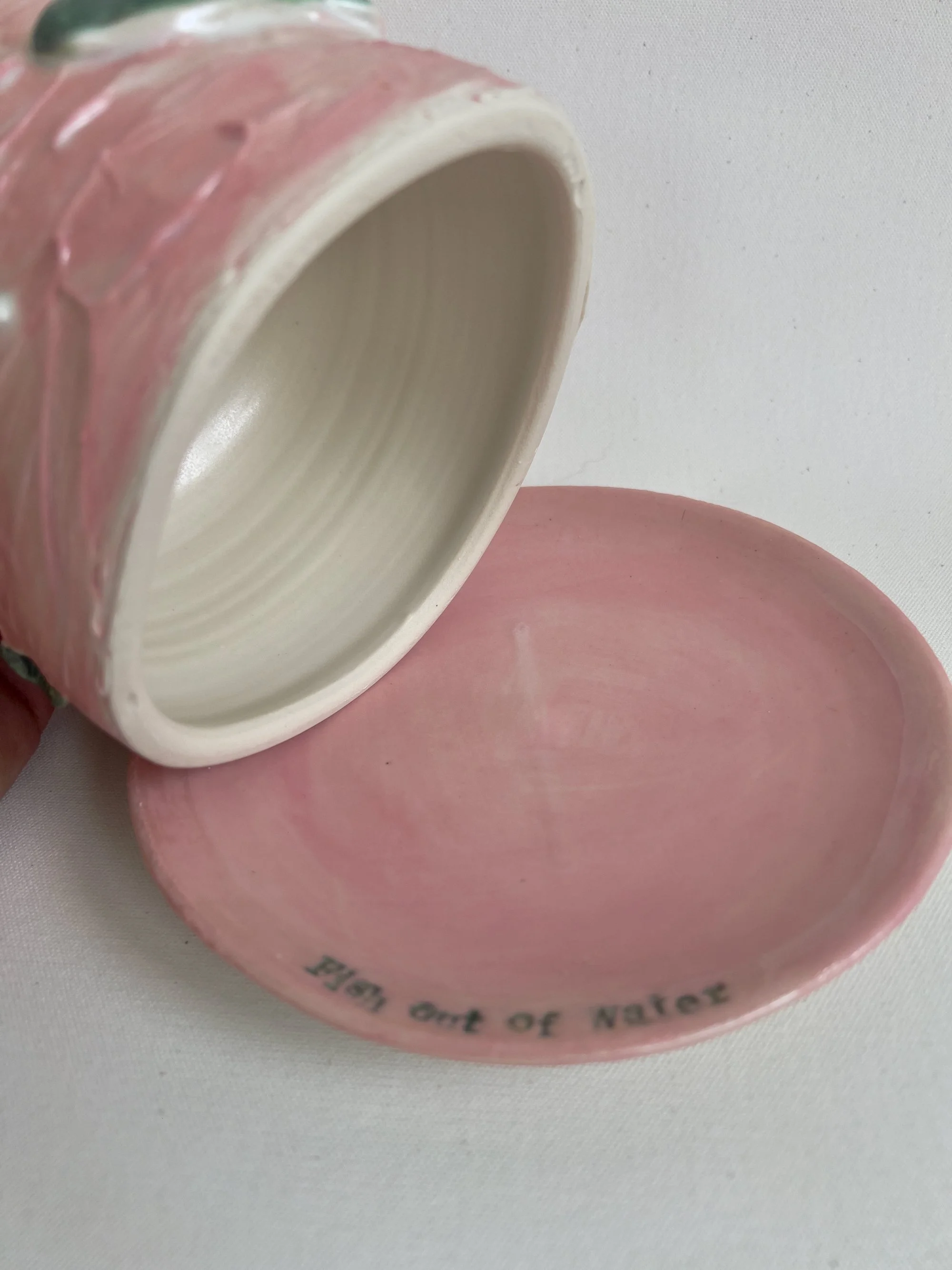 Fish Out of Water, inside, Susannah Paterson.jpeg