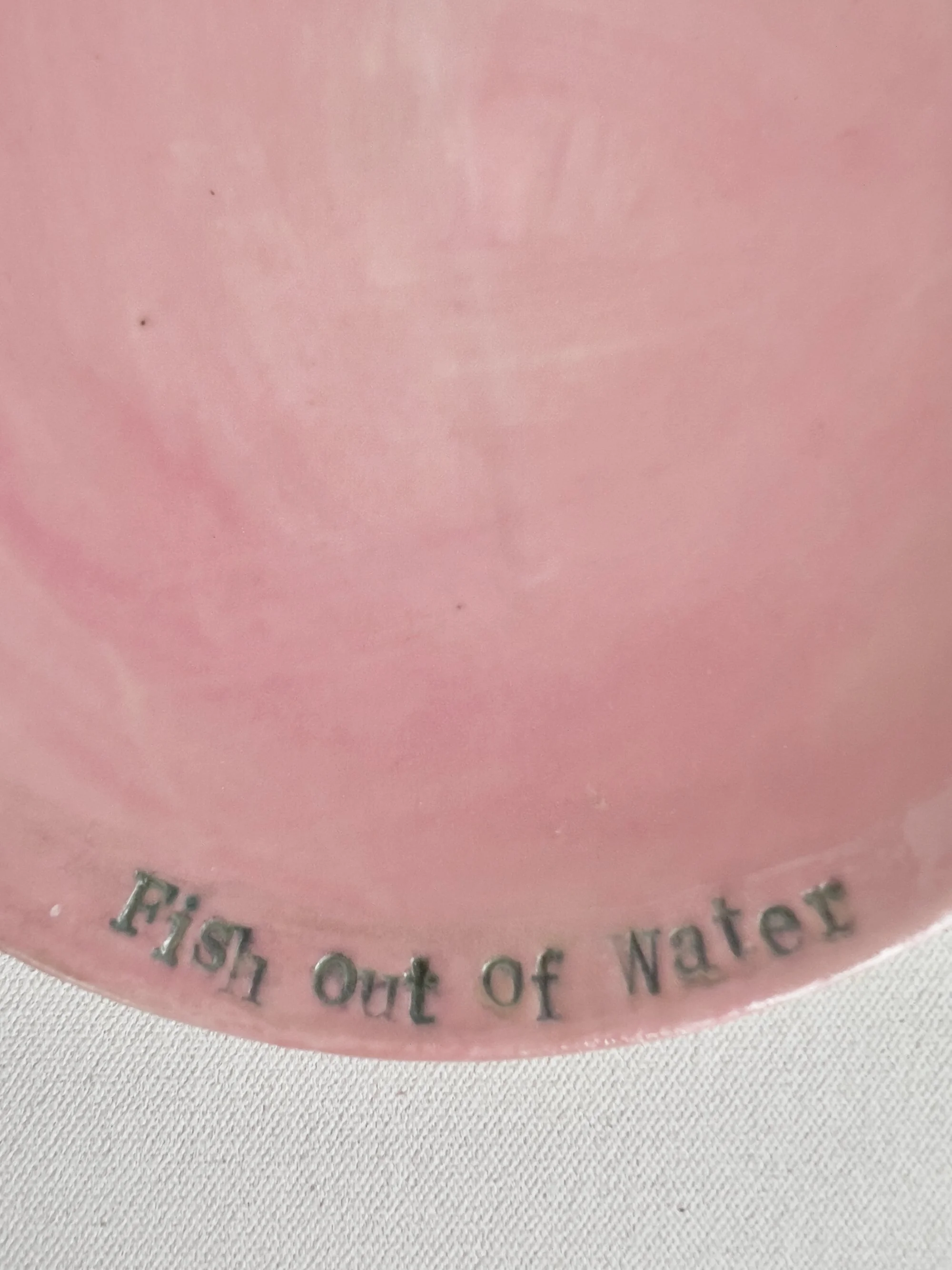 Fish Out of Water, plate edge Susannah Paterson .jpeg