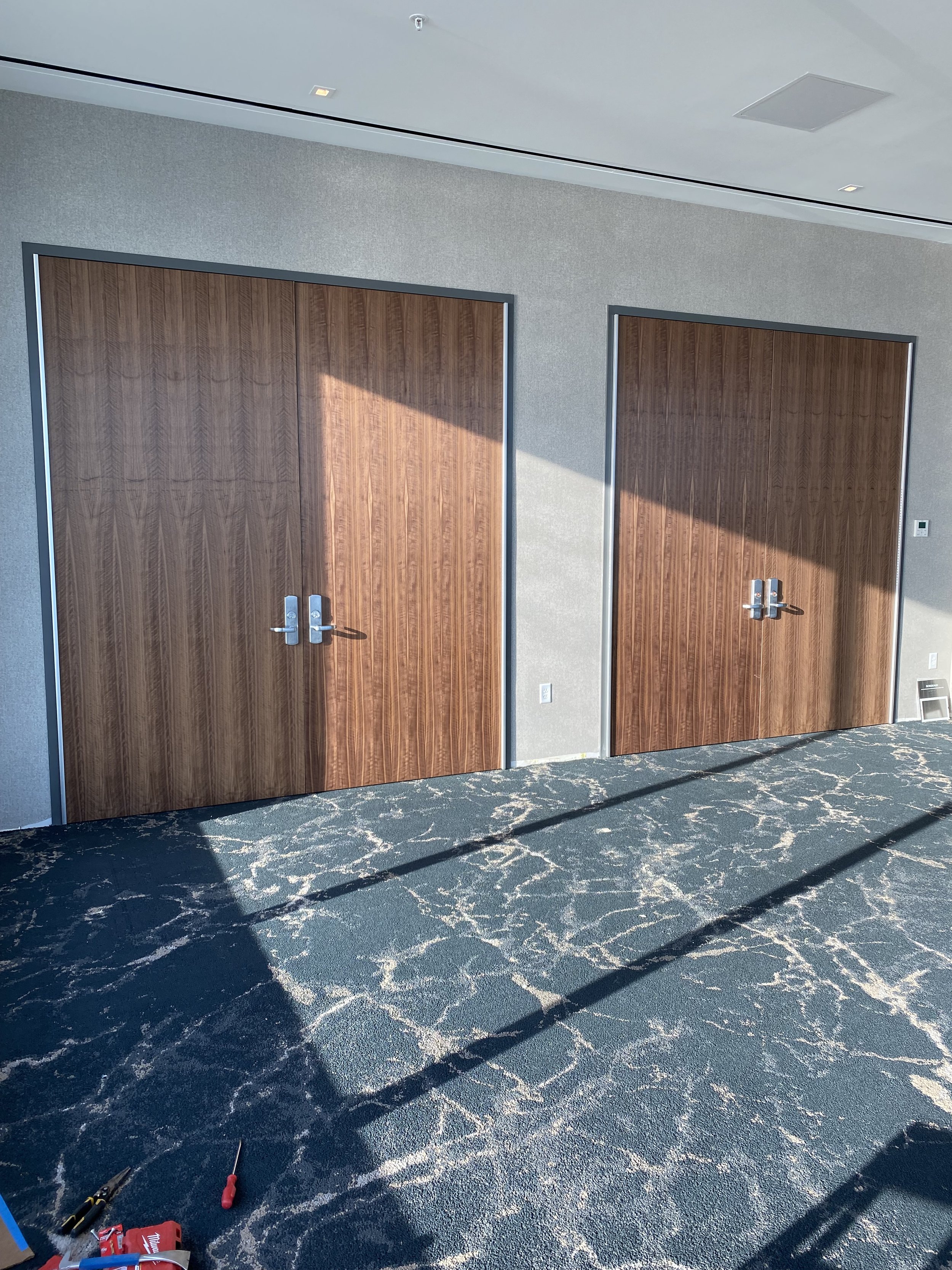 Two large wooden doors with metal handles in a modern room, with sunlight casting shadows on the carpeted floor.