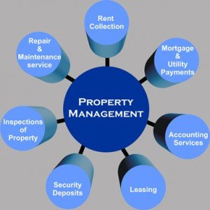 Maintenance & Property Care