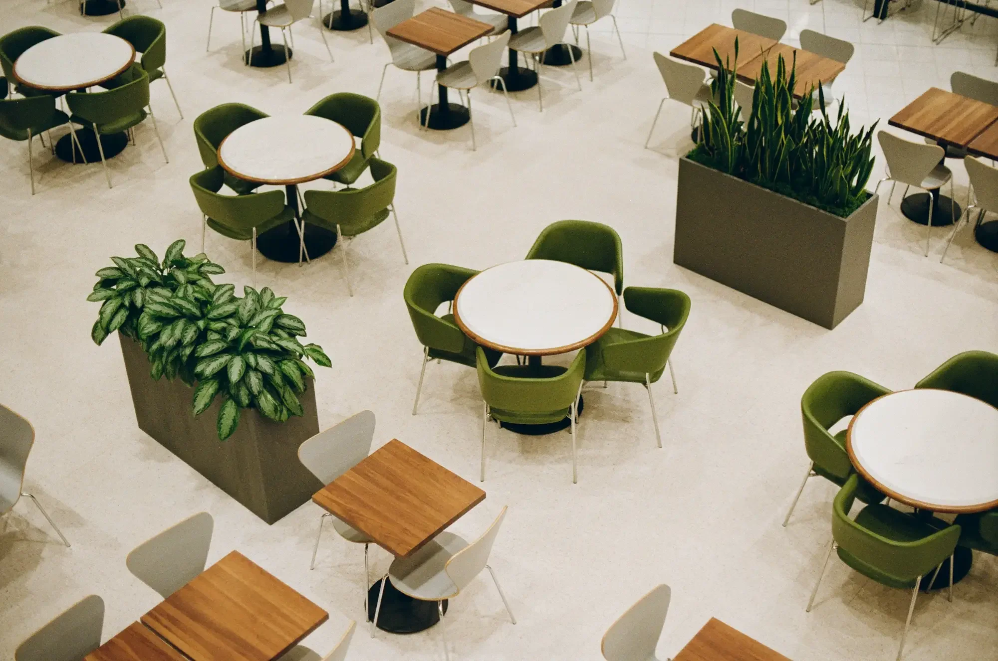 Modern food court with wooden tables, green and white chairs, and leafy planters—example of common areas in commercial spaces.