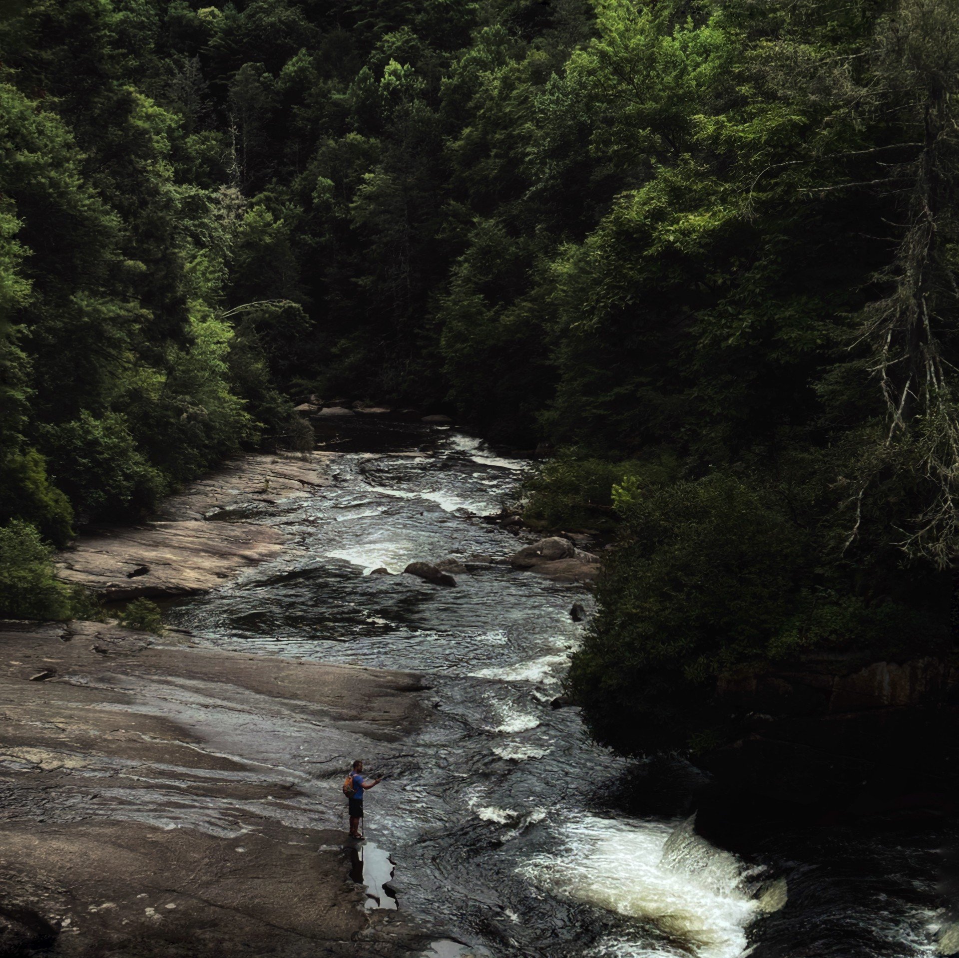 A hiker standing on a rock in a river surrounded by dense green forest. Nature photography. Deep green, rich, high contrast nature photography.