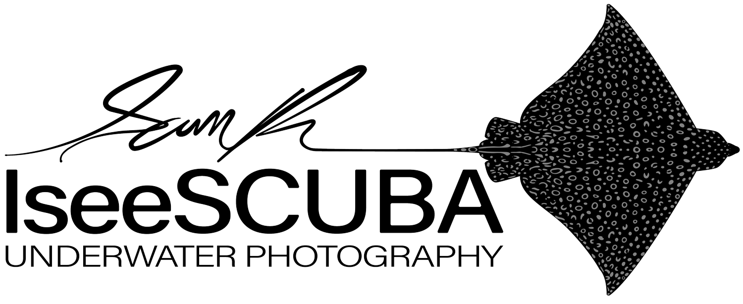 IseeSCUBA Underwater Photograph