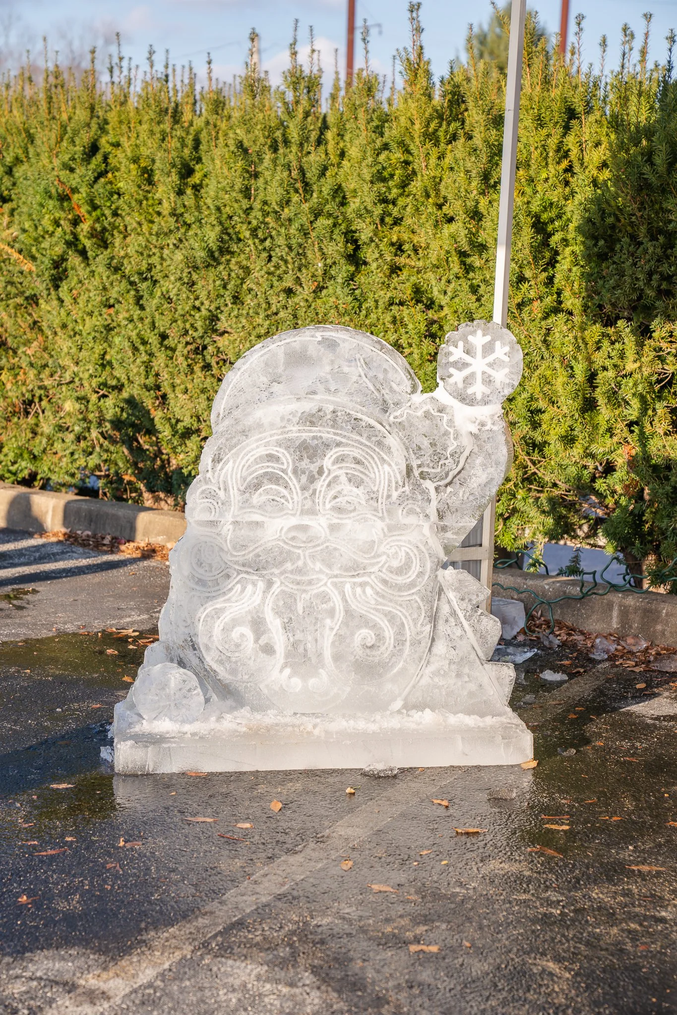 DSC09592.jpg
