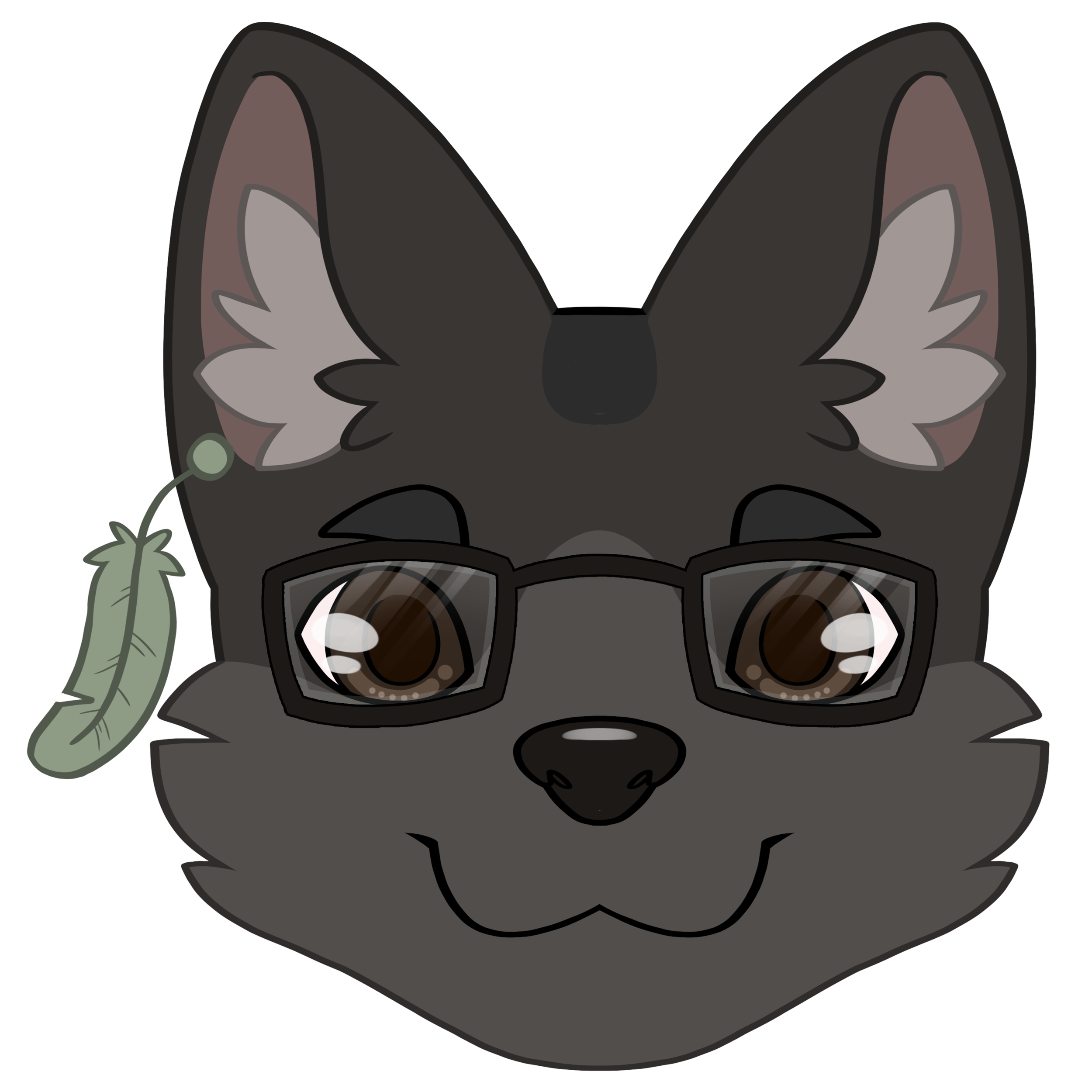 shadow headshot copy.png