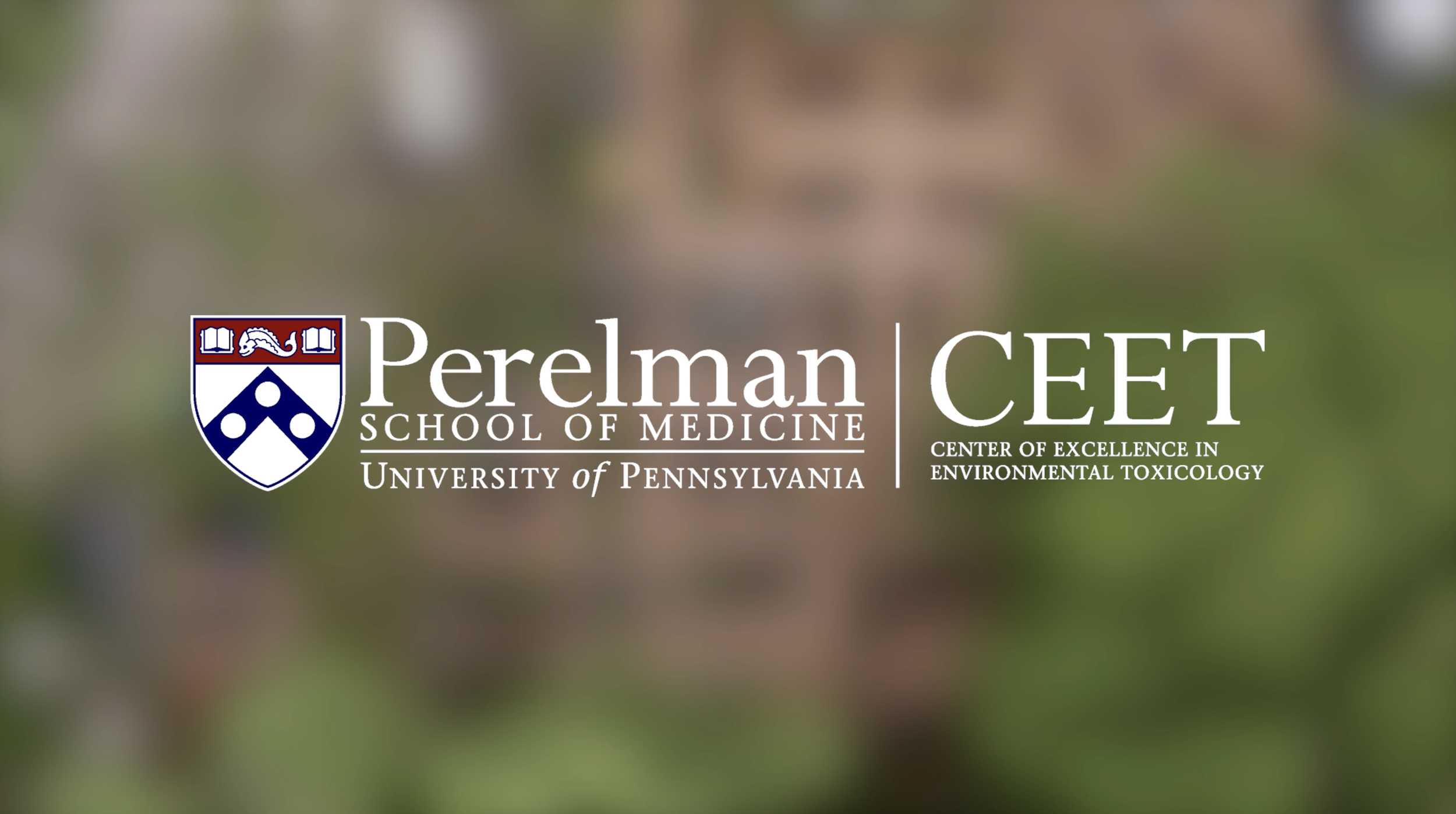 Brand Film Production Higher Education