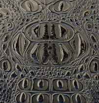 Blue (Navy) (Soft & Smooth)